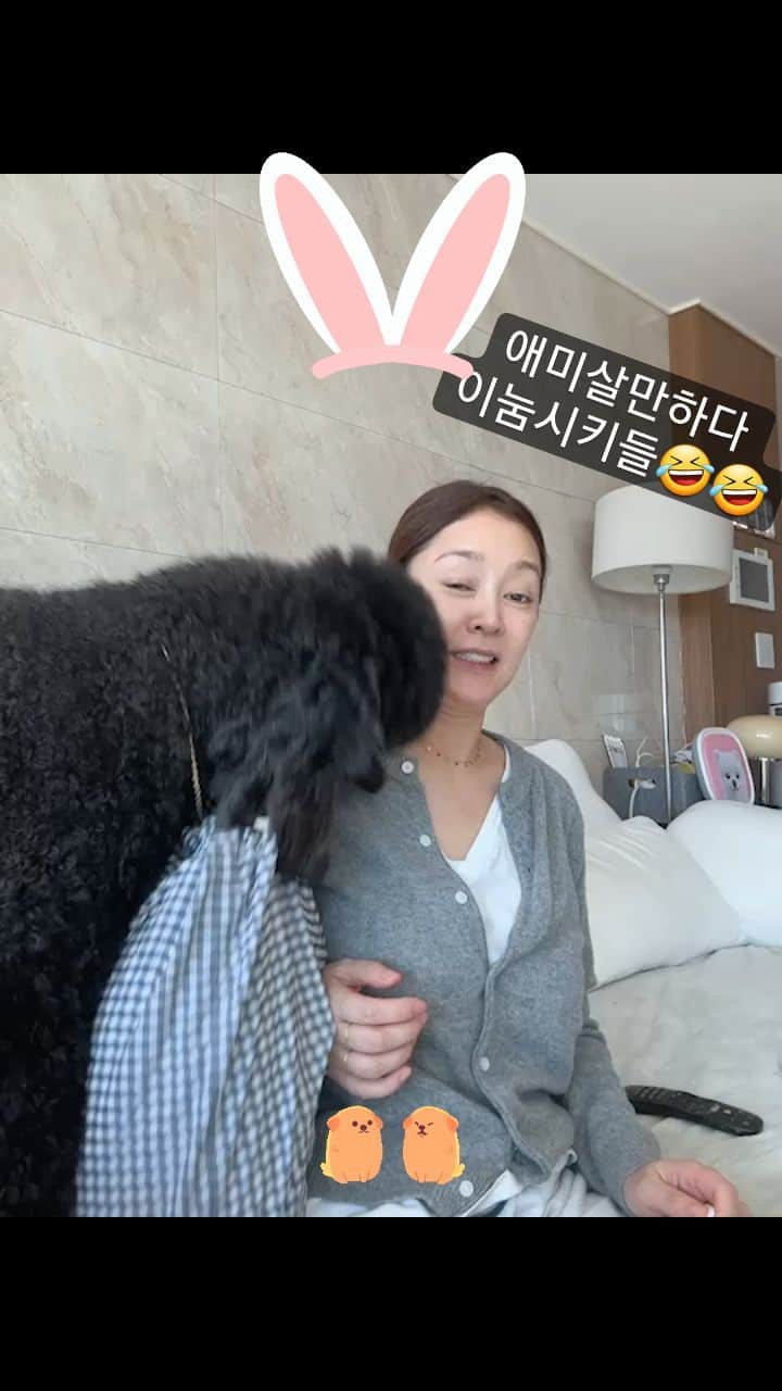 イ・スンヨンのインスタグラム：「그냥 지금이 젤 행복하네요  @stan.thepoodle  @kamzy_simba  날로 이뻐지는 이시키들 우짜믄 좋대요 ㅎㅎ」