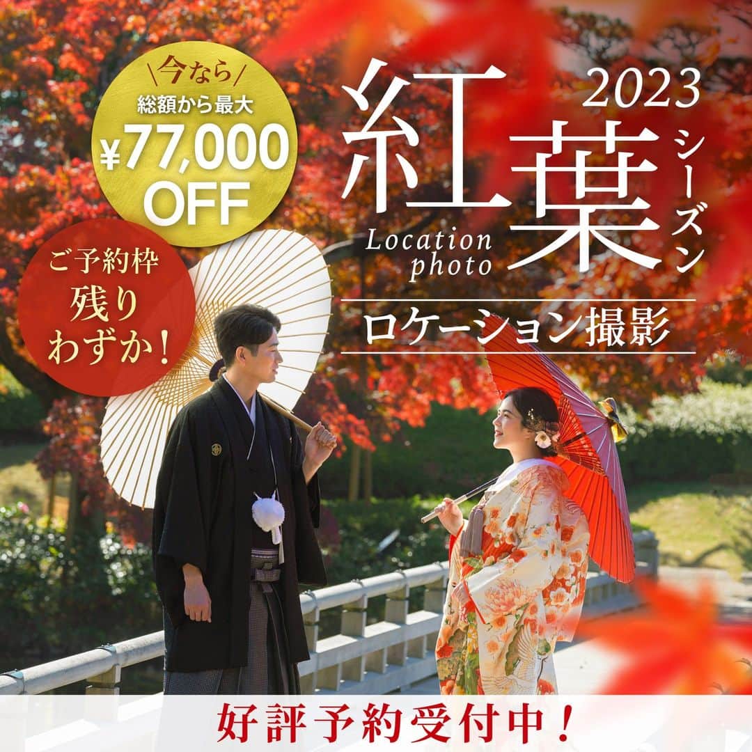 studioTVB梅田店のインスタグラム：「・ 紅葉シーズン予約受付中🍁 空きわずかとなってきました。 今年の秋撮影をお考えの方はお早めに★ ・ ・ スタジオ＋ロケプランの組み合わせで 7万円オフのキャンペーンあり🙆‍♀️ ・ ・ ・ ・ ・ @studiotvb_umeda @decollte_weddingphoto @d_weddingphoto_jp ・ ・ ・ ・ ・ ・ ・ 共に働くフォトグラファー・ヘアメイク・プランナー、 募集中です。 @decollte_recruit ・ ・ ・ #撮る結婚式 #デコルテフォト #スタジオTVB #studiotvb #スタジオTVB梅田 #studiotvb梅田 #ウェディングフォト #フォトウェディング #ナチュラルウェディング #ドレス試着 #エンゲージメントフォト #前撮り #大阪前撮り #関西プレ花嫁 #和装前撮り #プレ花嫁 #おしゃれ花嫁 #結婚式準備 #全国のプレ花嫁さんと繋がりたい #プレ花嫁さんと繋がりたい #日本中のプレ花嫁さんと繋がりたい #幸せな瞬間をもっと世界に #cherish_photo_days #2023冬婚 #2023秋婚 #ウエディングフォトの日」