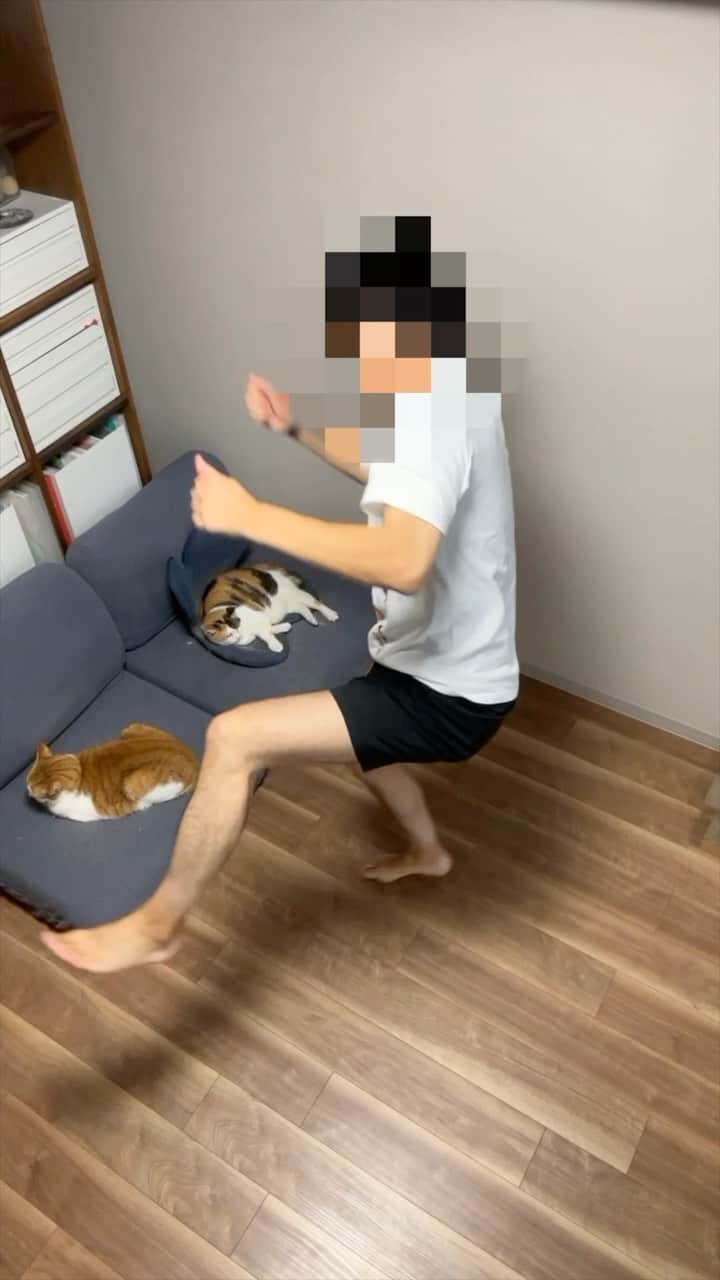 のインスタグラム：「今注目のダンス動画！ #usa  リクエストありがとうだぜ！ みんなも一緒に踊ってくれよな！  踊ってほしいバズりダンスあったらコメントにリクエストを書いてくれよな！ If there’s a buzz dance you’d like me to dance, please write a request in the comments!  #cat #cats #kitten #kitty #meow #neko #ねこ #猫 #고양이 #냐옹이 #catlove #lovecats #catlife #catlover #pet #pets #animal #animals #instacat #lovekitten # 貓 #gato #القط #🐱#catinsta #petinsta #catinstagram」