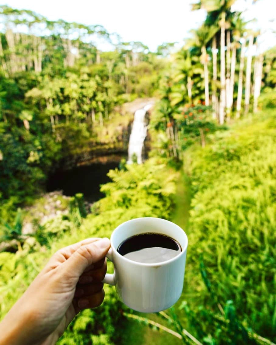 Instagenic Hawaiiのインスタグラム：「. Aloha!  10月1日は #国際コーヒーの日  ハワイにコーヒーが持ち込まれたのは今から210年前の1813年👀  コーヒーはハワイの定番お土産の一つで、現在はハワイ島のコナコーヒーが最も知られていますが、各島それぞれでコーヒーは作られています💡  各島のコーヒーを飲み比べできるコーヒー豆セットなどもスーパーで売られていますので、探してみてくださいね！  最近はハワイでもドリップコーヒーも見かけるようになり、ハワイのコーヒーの香りと味を気軽に楽しめるお土産としてもおすすめです☕✨  #コーヒー #ハワイ #ハワイ産 #メイドインハワイ #ハワイメイド #珈琲 #ハワイ土産 #コーヒータイム #コーヒーのある暮らし #ハワイグルメ」