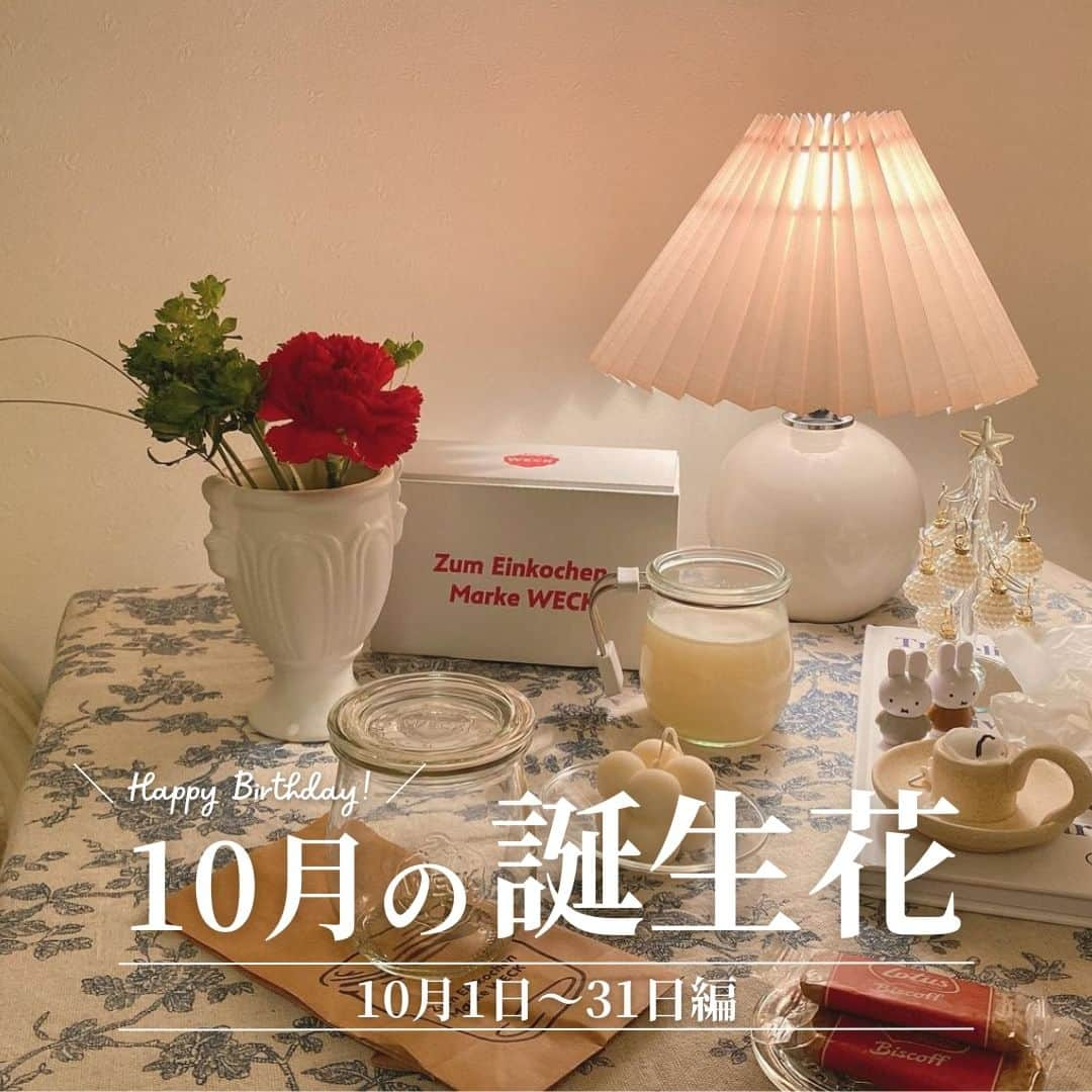 Bloomee LIFEさんのインスタグラム写真 - (Bloomee LIFEInstagram)「． 10月の誕生花🌹  10月生まれのみなさま お誕生日おめでとうございます🎉  ーーーーーーーーーーーーーーーー 10月生まれの方はコメントで 教えてくださいね✨ お祝いさせていただきます👏 ーーーーーーーーーーーーーーーー  「誕生花」とは、生まれた日にちなみ 365日それぞれに特定のお花を割り当てたものです💐  お花には素敵な「花言葉」があります✨ 知っているとお花に対してより愛着がわきますね！  ぜひ、誕生花をチェックしてみてください◎  ーーーーーーーーーーーーーーーー  お花が届いたら『 #ブルーミー 』 をつけて投稿してみてください📸  ほかの投稿は @bloomee でチェック👀🌹  #bloomee #お花の定期便 #お花のサブスク #花部 #花写真 #花を楽しむ #花が好き #花好きな人と繋がりたい  #お花のある暮らし #花のある生活 #花のある生活が好き #花を飾る  #暮らしを楽しむ #丁寧な暮らし #豊かな暮らし #インテリアフラワー #フラワーインテリア #ナチュラルインテリア #誕生花 #花言葉 #今日の花言葉 #ガーベラ」10月1日 18時00分 - bloomee