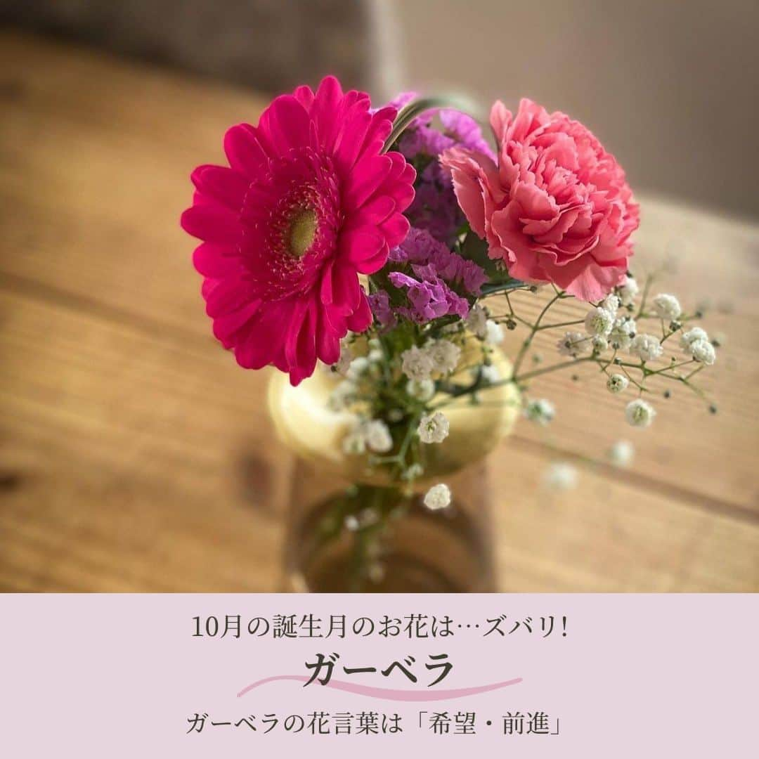 Bloomee LIFEさんのインスタグラム写真 - (Bloomee LIFEInstagram)「． 10月の誕生花🌹  10月生まれのみなさま お誕生日おめでとうございます🎉  ーーーーーーーーーーーーーーーー 10月生まれの方はコメントで 教えてくださいね✨ お祝いさせていただきます👏 ーーーーーーーーーーーーーーーー  「誕生花」とは、生まれた日にちなみ 365日それぞれに特定のお花を割り当てたものです💐  お花には素敵な「花言葉」があります✨ 知っているとお花に対してより愛着がわきますね！  ぜひ、誕生花をチェックしてみてください◎  ーーーーーーーーーーーーーーーー  お花が届いたら『 #ブルーミー 』 をつけて投稿してみてください📸  ほかの投稿は @bloomee でチェック👀🌹  #bloomee #お花の定期便 #お花のサブスク #花部 #花写真 #花を楽しむ #花が好き #花好きな人と繋がりたい  #お花のある暮らし #花のある生活 #花のある生活が好き #花を飾る  #暮らしを楽しむ #丁寧な暮らし #豊かな暮らし #インテリアフラワー #フラワーインテリア #ナチュラルインテリア #誕生花 #花言葉 #今日の花言葉 #ガーベラ」10月1日 18時00分 - bloomee