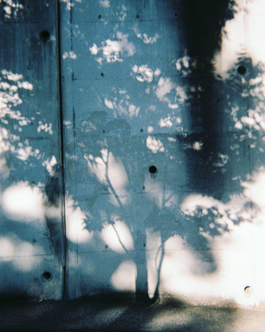 荒眞人のインスタグラム：「One day #あの日の心を映して   撮影のご依頼はDMにて お受けいたします。  ウェディングのご依頼は @arca.wedding   へお願いいたします。  私のオリジナルプリセットは @curbonjp のHP もしくはプロフィールの リンクから ご購入可能です。  ＝＝＝＝＝＝＝  New Lightroom preset release!!  Also, from this time Overseas sales are now possible!  Therefore, living abroad will be available for purchase.  You can buy it from the link in my profile. @arca_0105」