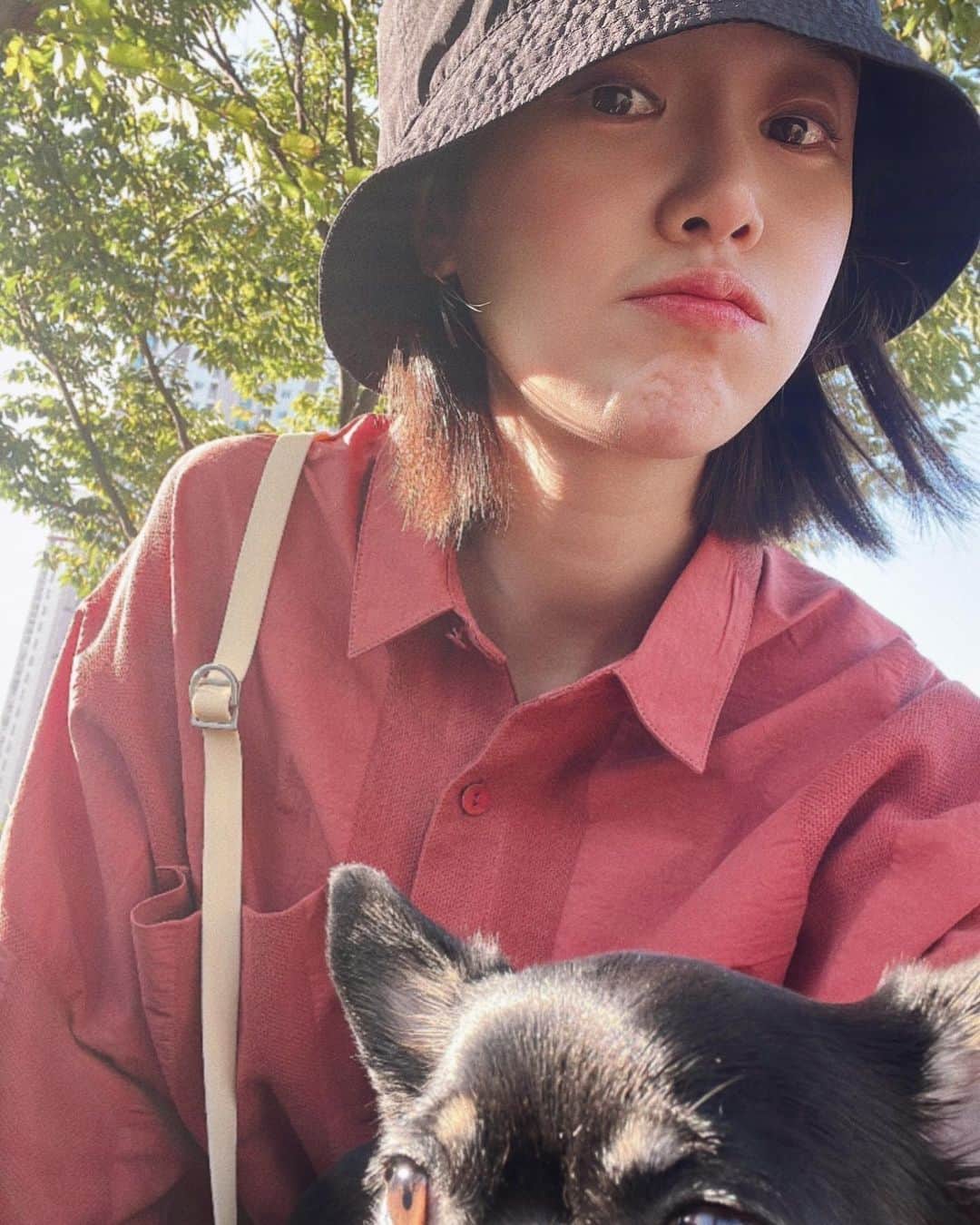 シン・ゴウンのインスタグラム：「잘모르는 동네와서 절대 산책하지마세요.  라떼한잔 먹고싶었을뿐인데 왜두시간이 걸렸지 땅콩이도 나도 퀭한오늘. 🐾  #갈땐가더라도올땐어찌오냐  #땅콩이는직진남」