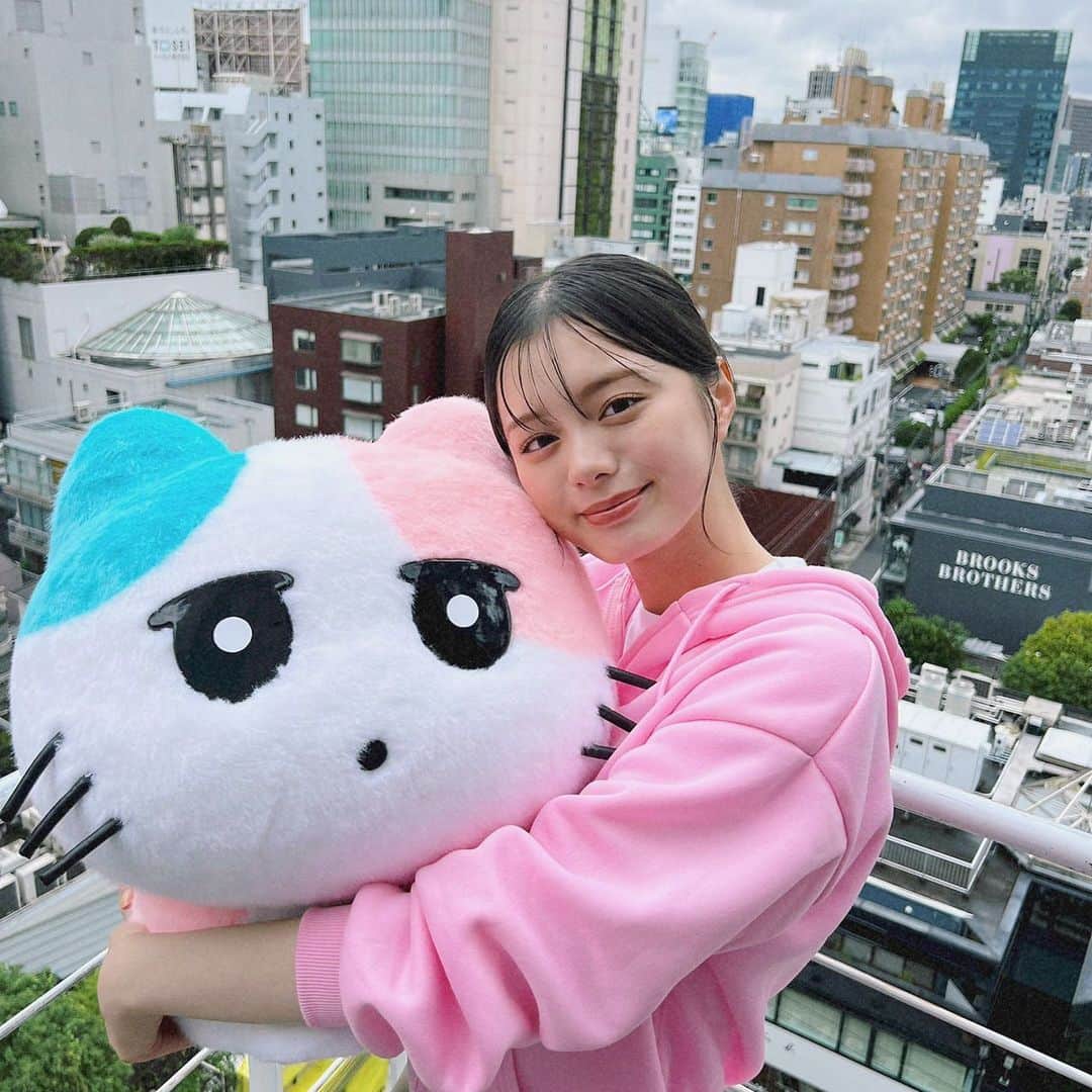 紺野彩夏のインスタグラム：「📢おしらせ 猫ルンルン♪るるるルームに出演します☺︎ 初回放送は、10/2(月) あさ9:51〜です！  可愛い子猫をたくさん紹介します！ ぜひご覧ください〜🐈」