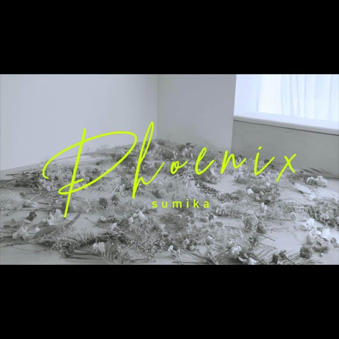 sumikaさんのインスタグラム写真 - (sumikaInstagram)「【Lyric Video】  #sumika 新曲『Phoenix』  Lyric Videoを公開！ https://youtu.be/l5HkWEVCbIw  是非ご覧ください◎  STREAMING & DLは↓ https://sumika.lnk.to/rJxkp2  #Phoenix #フェニックス」10月1日 18時13分 - sumika_inc