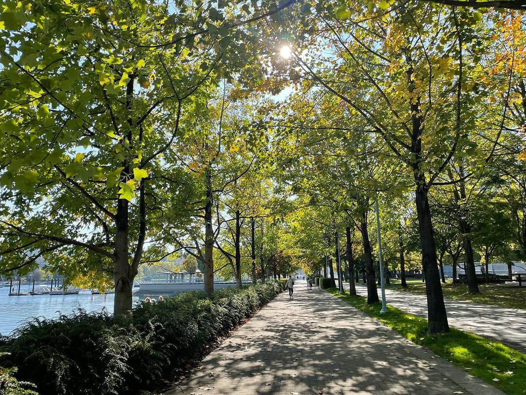 住吉美紀さんのインスタグラム写真 - (住吉美紀Instagram)「今回も #バンクーバー らしい天気。ほとんど雨で、最後だけ晴れた。季節が本格的な秋に進んだ１週間。やはり景色は何度見ても飽きず、癒される。特にwaterfront が大好きだ。  空気も爽やかで美味しかったな… I miss Vancouver already! たまに景色の写真を眺めて秋もがんばろう。  #巨大な鳥は元オリンピック選手村 #Vancouver  #Canada  #seawall」10月1日 18時36分 - miki_sumiyoshi
