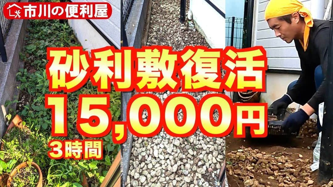 桑田ます似のインスタグラム：「【草抜き&伐採】砂利敷き通路復活☆15,000円作業ダイジェスト！ 福寿草、シダ、ドクダミ、アカメガシワ除去　 市川の便利屋船橋出張編 https://youtu.be/W5_jh5_3XHM?si=YLBLrvOBogpXL9np」