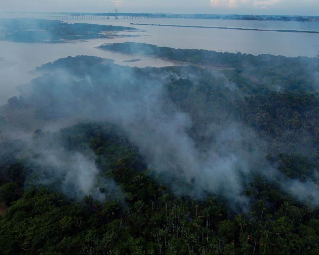 AFP通信さんのインスタグラム写真 - (AFP通信Instagram)「In Brazil, the Government of Amazonas declared a State of Environmental Emergency on September 12 due to the high number of fires and a strong drought in the rivers, affecting navigation and food distribution to the interior of the state.⁣ ⁣ 1 - Aerial view of a deforested and burning area of the Amazon rainforest in Autazes.⁣ ⁣ 2 - Aerial view of a fire in the Amazon rainforest in Iranduba.⁣ ⁣ 3 - Firefighters try to put out a fire in a forest area in Iranduba.⁣ ⁣ 4 - The smoke from a fire in a forest area approaches houses at the Cacau Pirera District in Iranduba.⁣ ⁣ 5 - Smoke from fires rises over a river in Careiro.⁣ ⁣ 6 & 7 -  A canoe navigates the Rio Negro with very low water levels  in Iranduba.⁣ ⁣ 8 - Aerial view of the drought in the Lago do Piranha Sustainable Development Reserve in Manacapuru.⁣ ⁣ 9 - Houseboats and a stranded boat are seen on the Rio Negro in Iranduba.⁣ ⁣ 10 - Dead fishes due to low volume of water are seen at the Lago do Piranha Sustainable Development Reserve in Manacapuru.⁣ ⁣ 📷 @fotomichaeldantas #AFP」10月1日 20時00分 - afpphoto