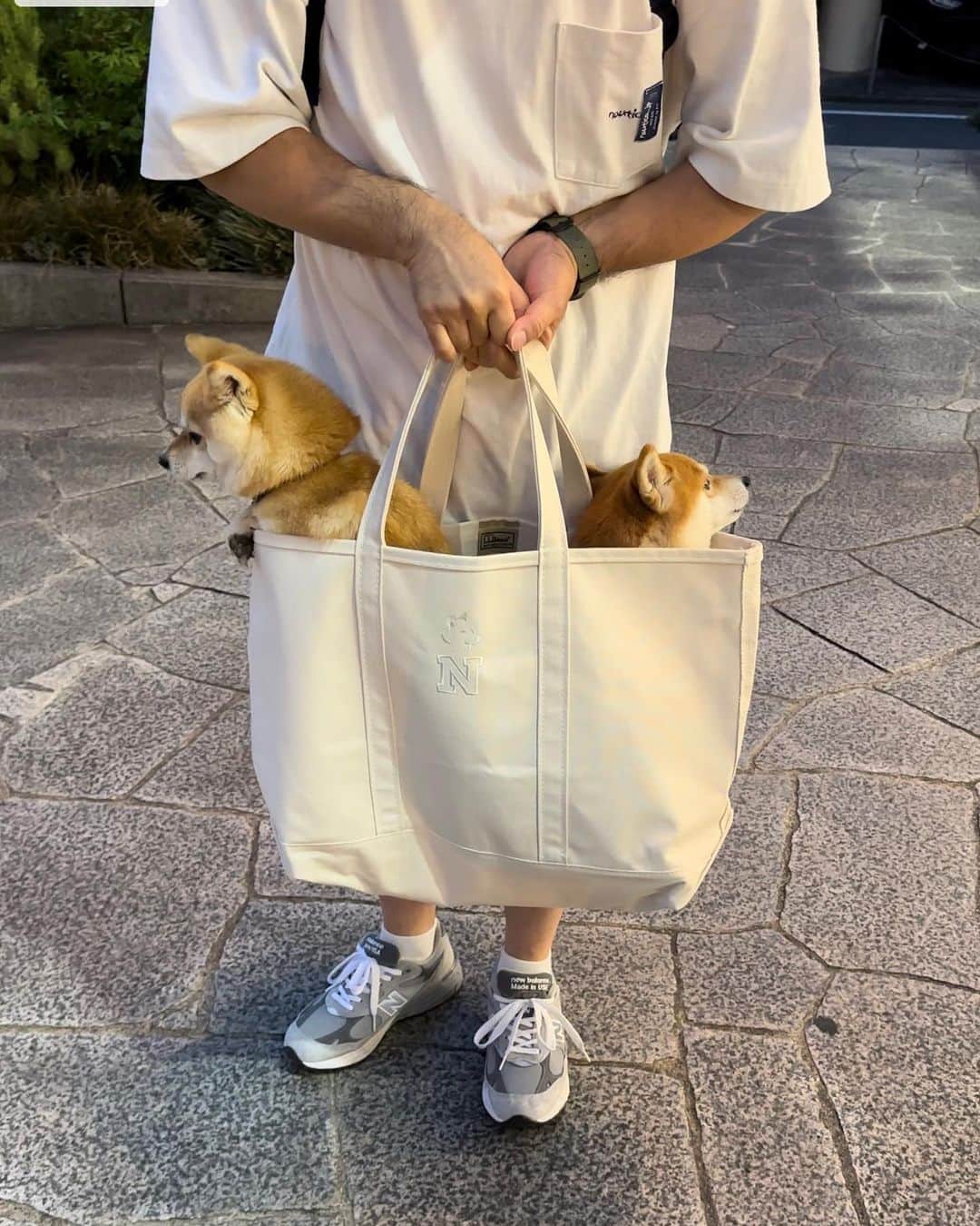 のインスタグラム：「🐶 ラキぴょんのマネして、 我が家もL.L.Beanトート購入。 ※1つ前の投稿参照 @luckyyy.111   うちは持ち手部分も刺繍も白に😙 にこたま2匹でIN❣️  散歩中、柴拒否して歩かなくなったら これに入れて持ち歩こう😆  好きな色＆サイズのバッグを選んで 刺繍の色とデザインを選んで 入れる文字も指定できるよ。  犬の顔デザインを入れる場合は 文字は1文字のみ。 犬種もいくつかパターンがあって、 ポメラニアンにするか柴にするか迷った😆  #柴犬#豆柴#mameshiba #shibastagram#japanphoto#shibainu#犬#shibainumania#犬のいる暮らし#shiba_snap#shibainupuppy#多頭飼い#dog#いぬすたぐらむ#puppy#dogstagram#instadog #doglover#pecoいぬ部#pecotv#いぬのきもち部#狗#子犬#barked#9gag#9gagpets#시바견」