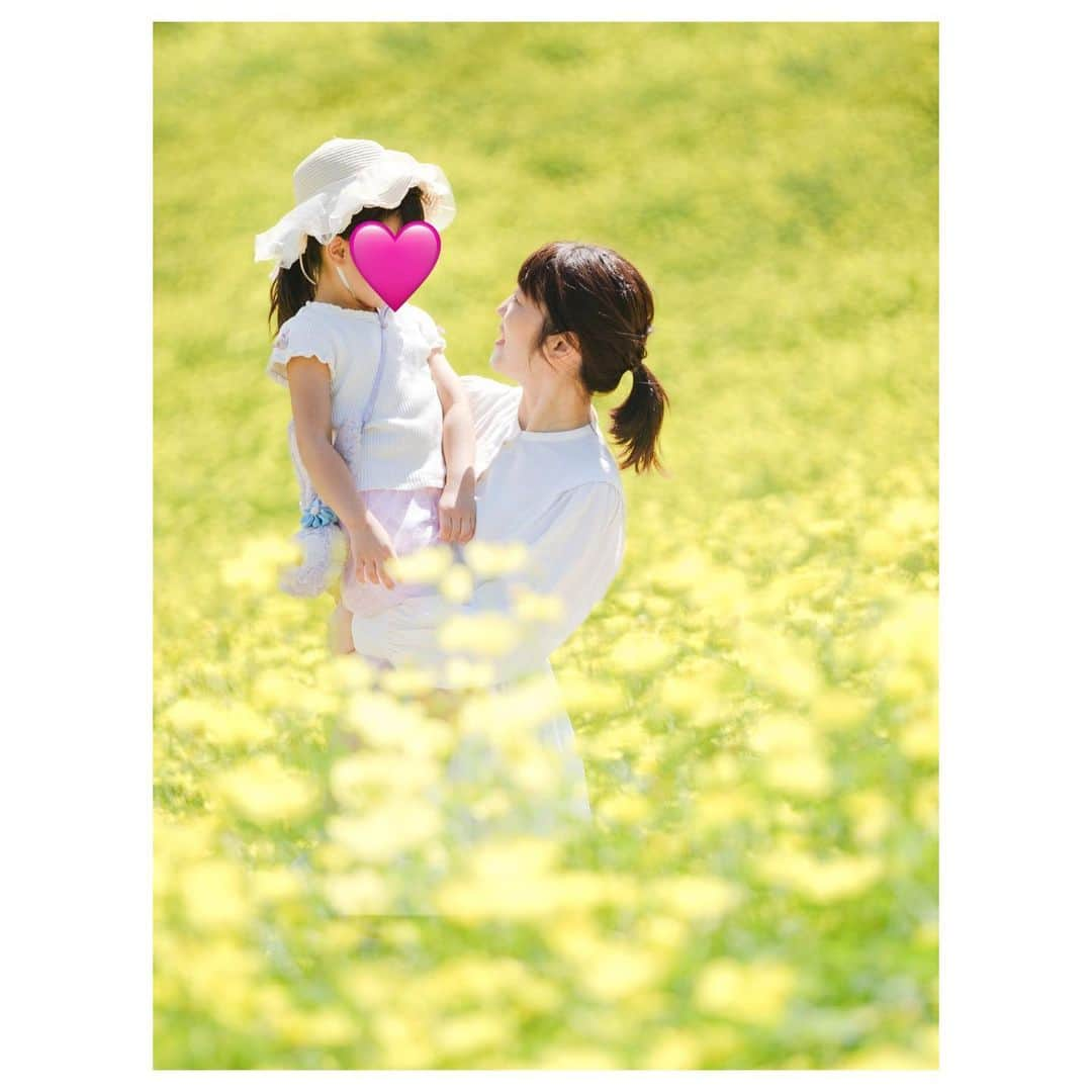 菊池真以のインスタグラム：「レモン色のキバナコスモス🌼・°今年も満開でした！  #秋晴れの日に 💛　#君と見つけた四季  あ、通路に立って撮っています！（花畑の中ではなく・・）」