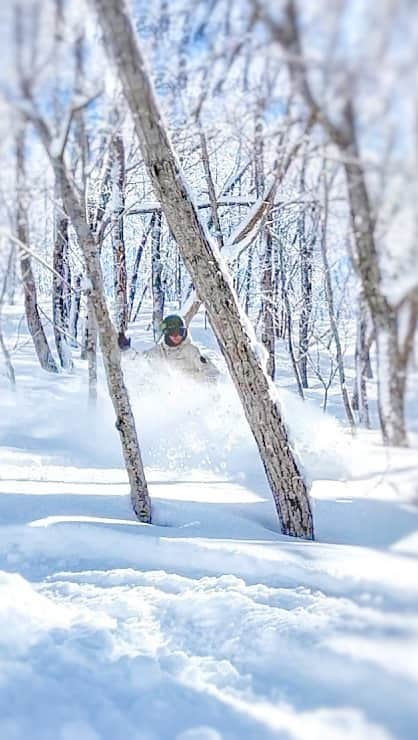 りほのインスタグラム：「ウィンタースポーツの季節が近づいてくるぞーっ💕☃️ 秋っぽくなってきたと思ったらすぐ冬になってる気がする❤️🤭笑　みんな冬支度はじめるよーっ😆✨  今年は雪いっぱい降るかなーっ？☃️ いっぱい滑れるといいなっ💕☺️  ウェアはTHE SOCIETY今期モデル☃️ @the_society_official_   @novmfg  @ebsmission  @gofunjapan   #スノーボード #スノーボード女子 #スノーボードウェア #スキー #スキー場 #パーク #フリーラン #パウダー #ハーフパイプ #snowboarding #スノボウェア #스노보 #雪景色 #ツリーラン #snowgirl #snowboardgirl #japow #japantrip #ski #skiing #スノボ女子 #スノボウェア #韓国風ファッション #스노보드웨어  #snowboardlife #outdoorgirl #winterfashion #outdoorfashion #アウトドアファッション　#スポーツ女子　#スポーツ」