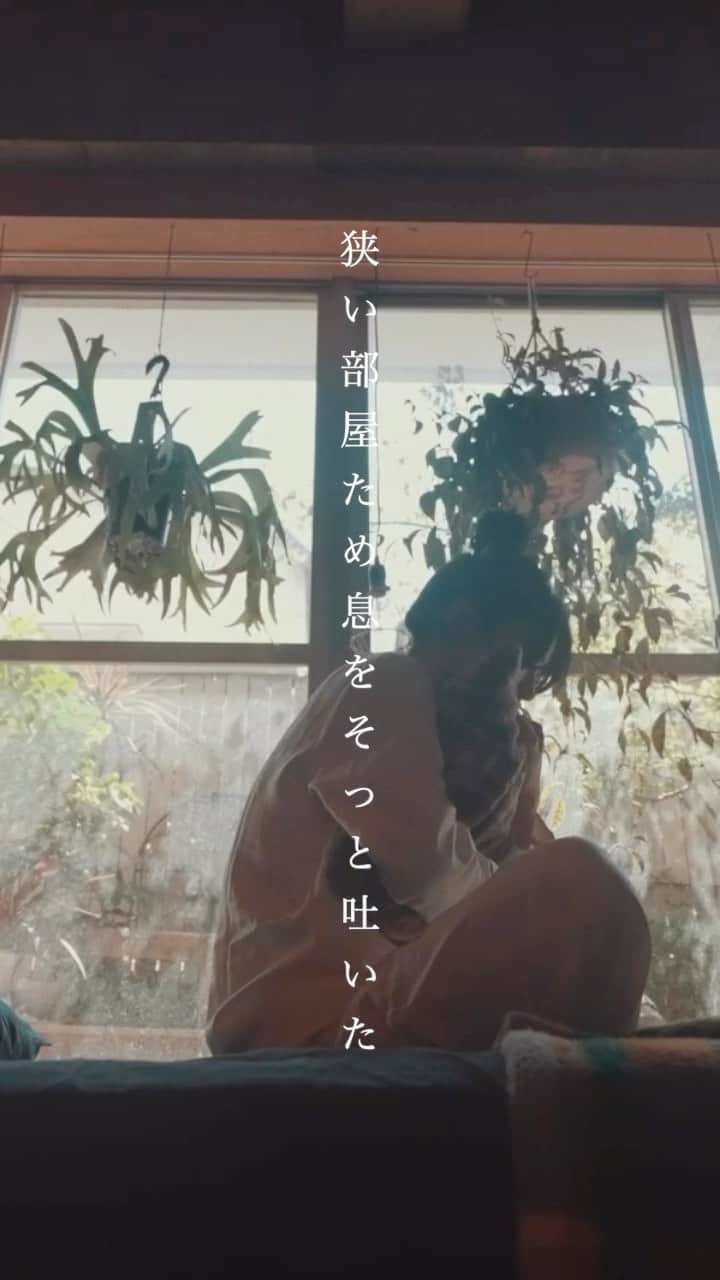 ACE COLLECTIONのインスタグラム