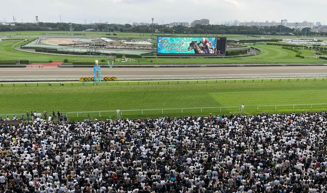 髙橋大悟のインスタグラム：「#競馬研修  今日は、GⅠ「スプリンターズステークス」🏇  やはり！GIの競馬場の雰囲気は桁違いでしたっ！！  学生時代にもGIレースを何度か観に行きましたが、上の実況席から見ると改めて観客の多さと皆さんの熱気に鳥肌が立ちました！！！🤩  競馬の奥深さをもっと知れるよう日々精進して参ります！💪🔥  #競馬 #GI #秋のGI開幕戦 #スプリンターズステークス #ママコチャ #テレビ東京 #ウイニング競馬 #アナウンサー」