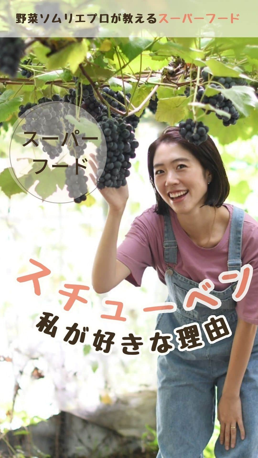 菅野広恵のインスタグラム：「@vegetaiment より10月2日、1日限定再販決まりました🍇✨ ----- スーパーフード🍇スチューベン 私がこよなく愛するには理由があります🤭  ⚪︎ポリフェノールが凄くアンチエイジ効果や ⚪︎種にはビタミンEや酸化を抑える抗酸化作用が凄かったり ⚪︎目の疲れにもよく ⚪︎栽培方法も素敵すぎて、スチューベンは自然本来の作り方で、種を無くす作業をしないため、種は面倒だけど、その分種を無くすための農薬を使わなくてていいので、薬も最小限に出来る所も好きなんです。  ⚪︎種は面倒だけど、種がある事で1粒の味わいや栄養の凝縮が凄く  ⚪︎果物では珍しい種まで食べれてしまうのも、凄い‼︎  ⚪︎しかも、種の栄養もとにかくすごく、老化防止効果なんかもあるのよ。  そんな、栽培方法から栄養まで好きなのが  ありのまま、自然本来の スチューベン🍇  こちら、本日10月1日まで @vegetaiment より 山形県　@koufuann_itofarm さんの 農家応援スチューベンセットございます。 よかったら是非チェックして頂けたら 嬉しいです🧑‍🌾🍇  お洋服は　@i.rina_lovelymommy さん♡  #旬の果物　#旬のフルーツ　#農家応援　#美味しい果物　#美味しいフルーツ　#食べて綺麗になる  #食べるダイエット　#食べて痩せる　#野菜ソムリエ　#野菜ソムリエプロ　#スーパーフード　#食べる美容液  #美肌ケア　#美肌レシピ」