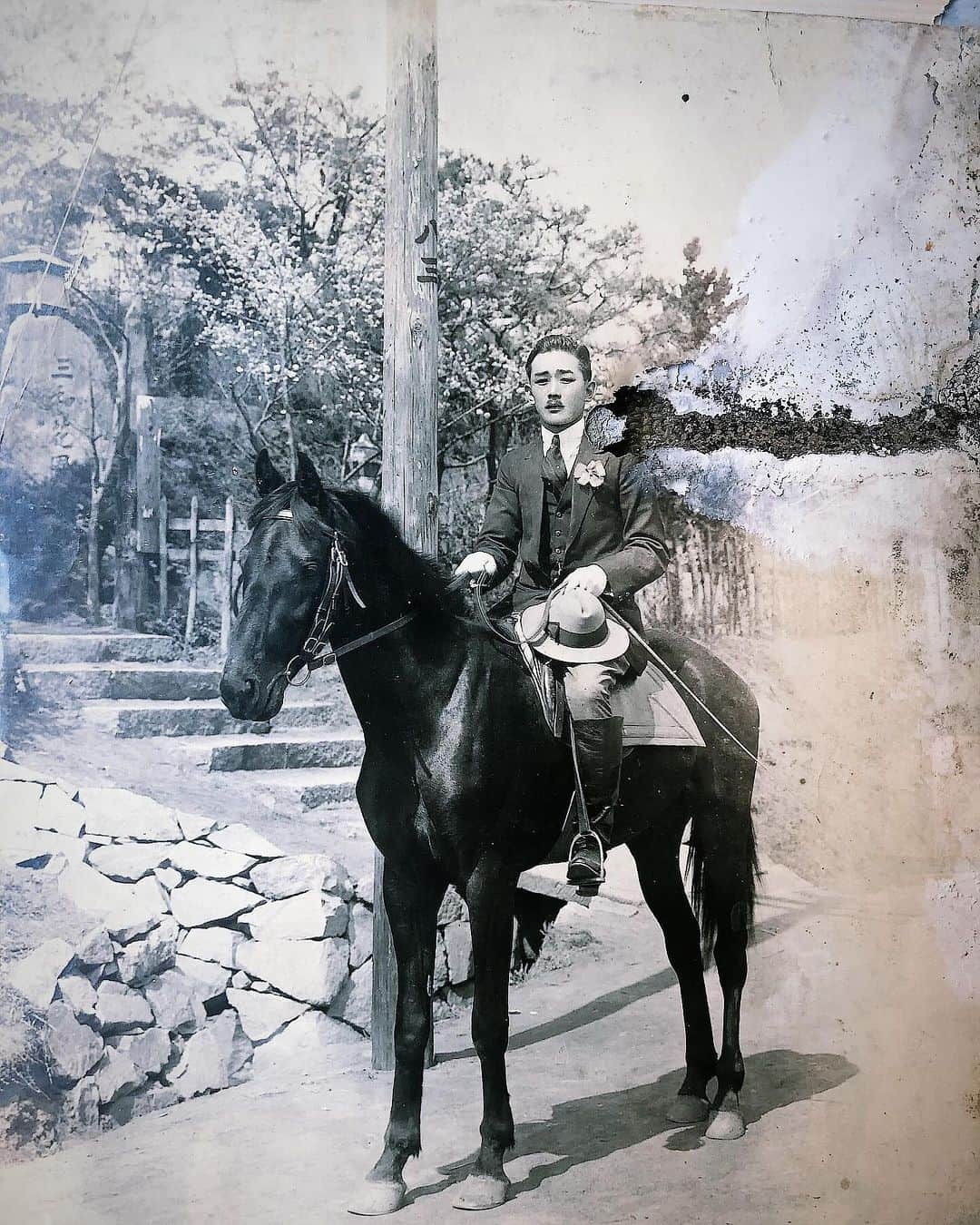 白澤貴子のインスタグラム：「Finally my cousin found the photos of my great-grand father with his horse.  乗馬を始めた理由をよく聞かれるのですが、実は２つあり、最初のきっかけは曽祖父。  競馬馬と乗馬馬を共に所有していた彼が凛とした姿で騎乗している写真を物心ついた頃から何度も眺めているうち、いつしか馬に乗ることが夢に。  母を説得してクラブに行ってみたものの、まだ120cmほどの背丈だった私には想像以上に馬の顔が大きく、怖くなって断念することとなるのですが🤭  大人になって乗馬にきちんと取り組み始めてからもう一度曽祖父の写真を見たくなり探してみたら、あれだけたくさんあったはずの写真がまったく見つからず…。  親戚にもお願いして大捜索していたところ、遂に見つけた！と先週従姉妹から連絡が…  あの頃によく見ていた写真ではなかったものの、自分のルーツを目視で再確認できて嬉しい。  ひいおじいちゃん、私を馬の世界に導いてくれてありがとう！  #_tahco_et_cheval」