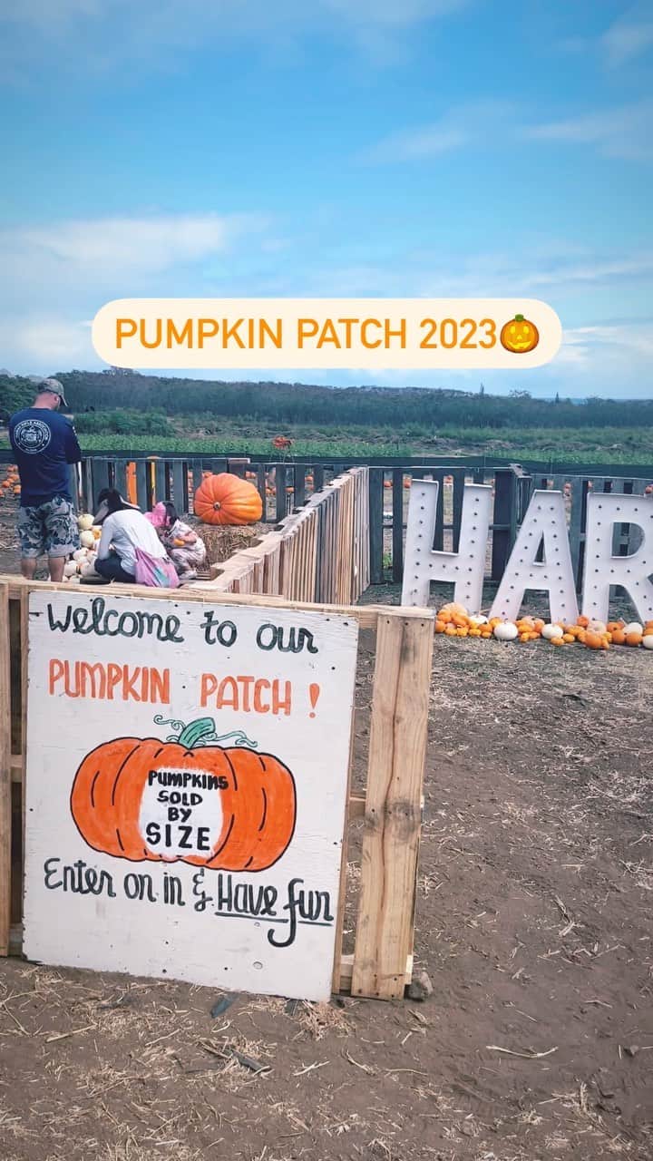 澤田かおりのインスタグラム：「Pumpkin patch 2023 🎃」