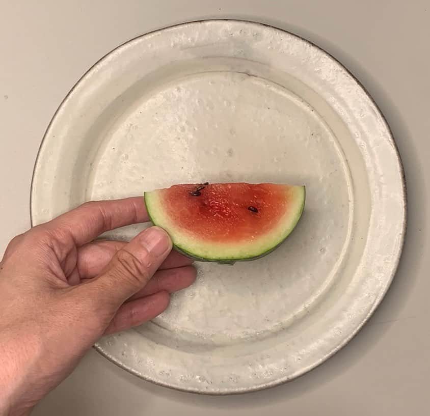 矢部太郎のインスタグラム：「食べた時のタネが庭で育ったスイカを収穫しました！ちっちゃかったけど、ちゃんと紅くて、甘くて美味しかったです！感激です。 アドバイスくださった皆さまありがとうございました。 またなにか育てたいです。おすすめ教えてください。」