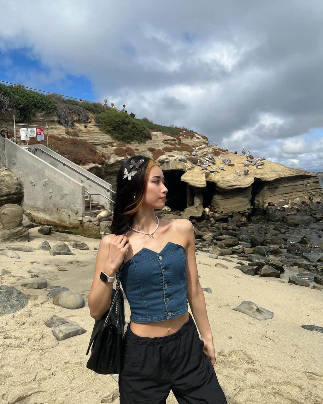 のインスタグラム：「💎💎💎💎💎🦭🦭🏖️ #lajollacove #sealion #losangeles」