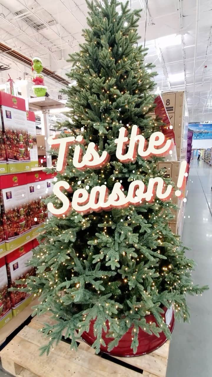 のインスタグラム：「Holiday spirit = 📈🎄🎁」