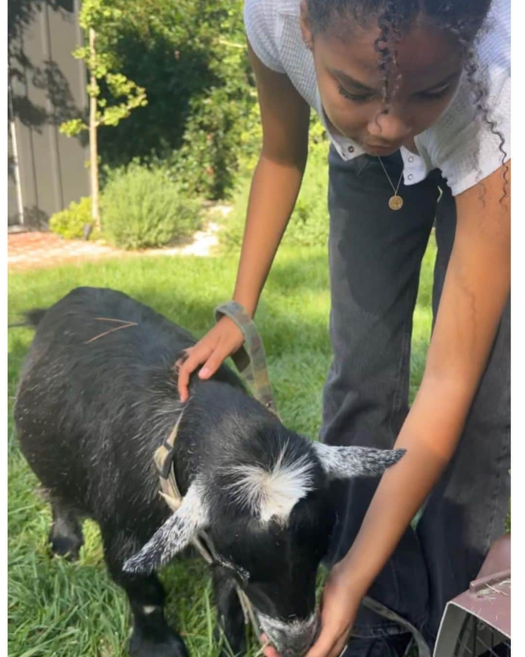 さんのインスタグラム写真 - (Instagram)「Surprise petting zoo, house party!!!  Ya did good @michaelvlamis 🖤 🐷 🖤」10月2日 2時10分 - auroraperrineau