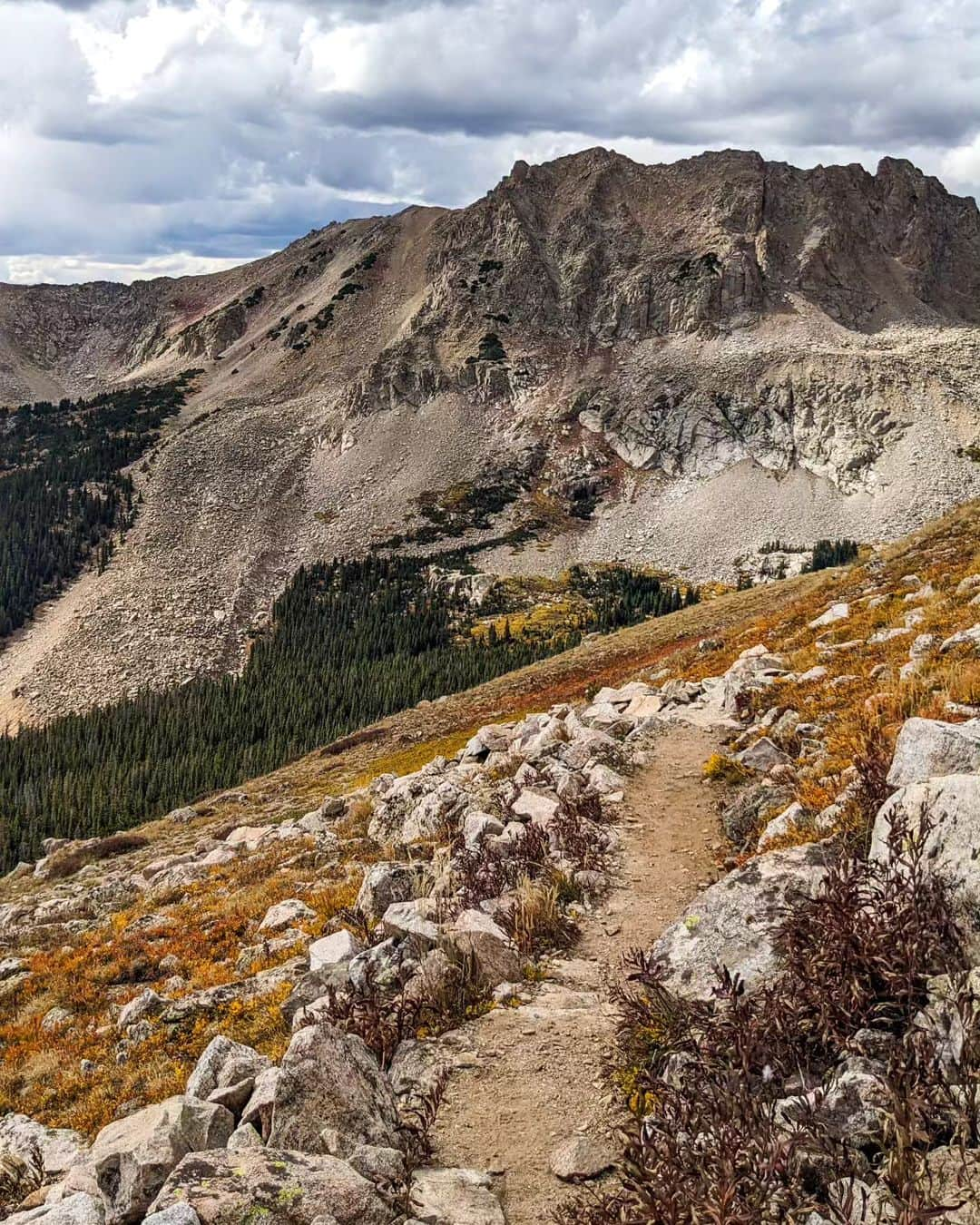 コートニー・ヒックスさんのインスタグラム写真 - (コートニー・ヒックスInstagram)「Summited my 8th 14er yesterday! Mt. Columbia was a rough ascent I'm not gonna lie, even though it's only 14,077 feet. Most of it was fine and fun but there was a straight dirt section way above the tree line that SUCKED. Otherwise though it was a very lovely hike and the aspens were incredible! Thanks for heading out there with me @evanr137」10月2日 2時33分 - courtneynhicks