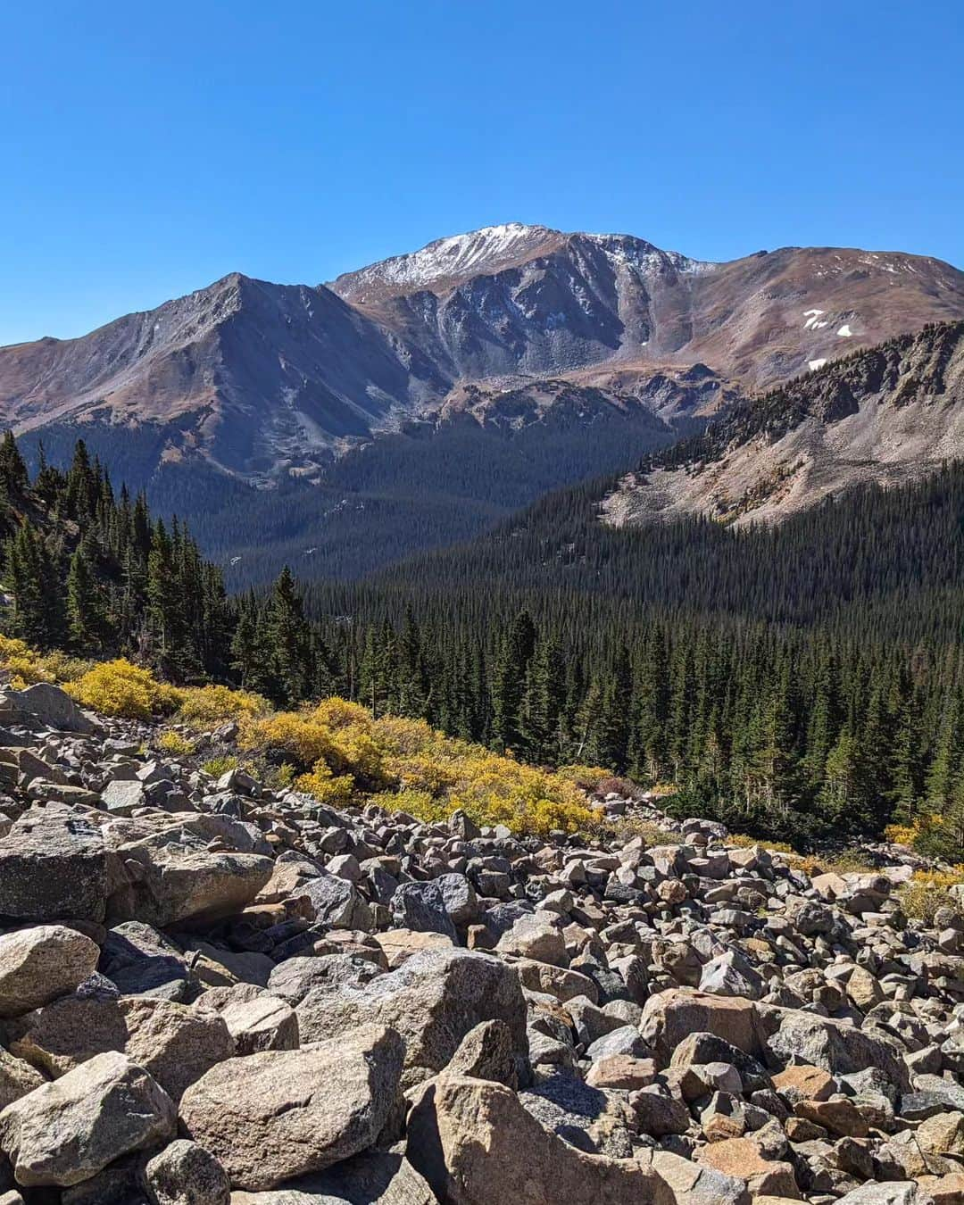 コートニー・ヒックスさんのインスタグラム写真 - (コートニー・ヒックスInstagram)「Summited my 8th 14er yesterday! Mt. Columbia was a rough ascent I'm not gonna lie, even though it's only 14,077 feet. Most of it was fine and fun but there was a straight dirt section way above the tree line that SUCKED. Otherwise though it was a very lovely hike and the aspens were incredible! Thanks for heading out there with me @evanr137」10月2日 2時33分 - courtneynhicks