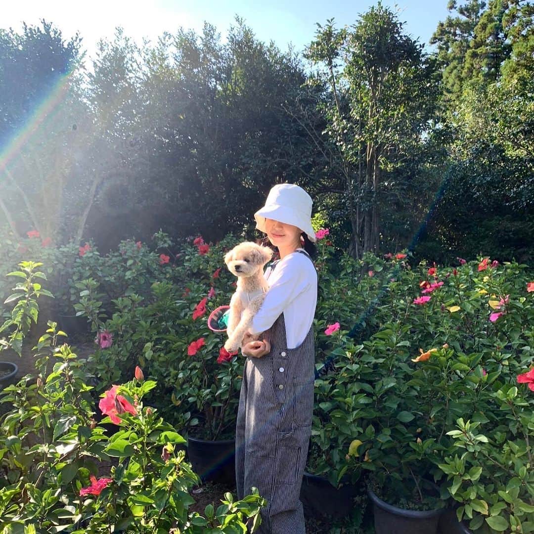 ペク・ジニのインスタグラム：「Hello🙋🏻‍♀️」