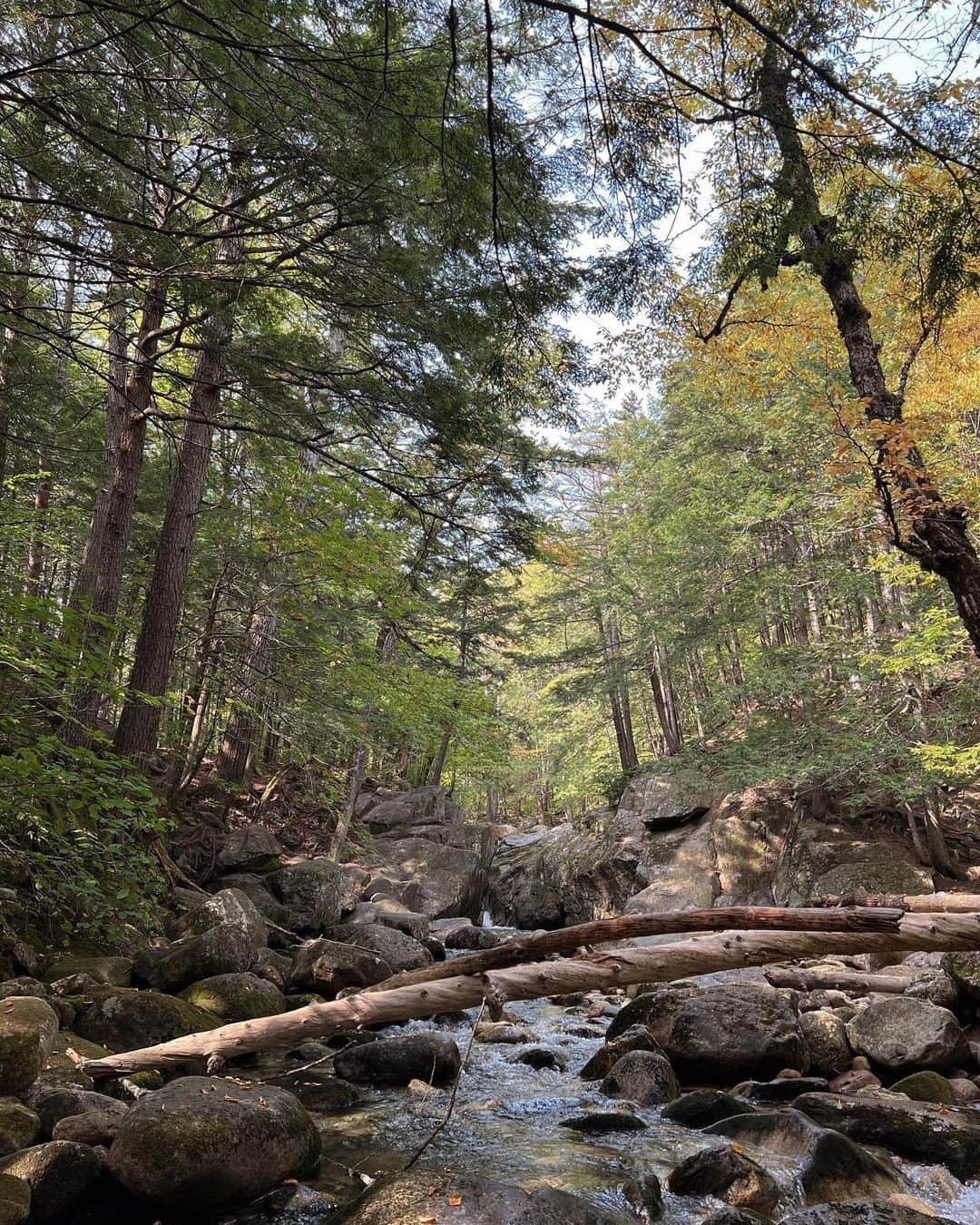 アシュリー・ワグナーさんのインスタグラム写真 - (アシュリー・ワグナーInstagram)「She’s *outdoorsy* 🏔️ 🏕️ 🥾」10月2日 3時13分 - ashwagner2010