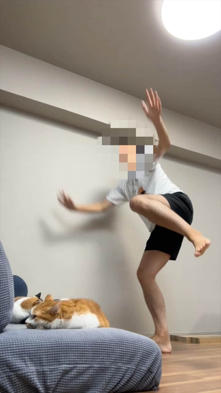 のインスタグラム：「今注目のダンス動画！ #party @dapump_jp  リクエストありがとうだぜ！ みんなも一緒に踊ってくれよな！  踊ってほしいバズりダンスあったらコメントにリクエストを書いてくれよな！ If there’s a buzz dance you’d like me to dance, please write a request in the comments!  #cat #cats #kitten #kitty #meow #neko #ねこ #猫 #고양이 #냐옹이 #catlove #lovecats #catlife #catlover #pet #pets #animal #animals #instacat #lovekitten # 貓 #gato #القط #🐱#catinsta #petinsta #catinstagram」