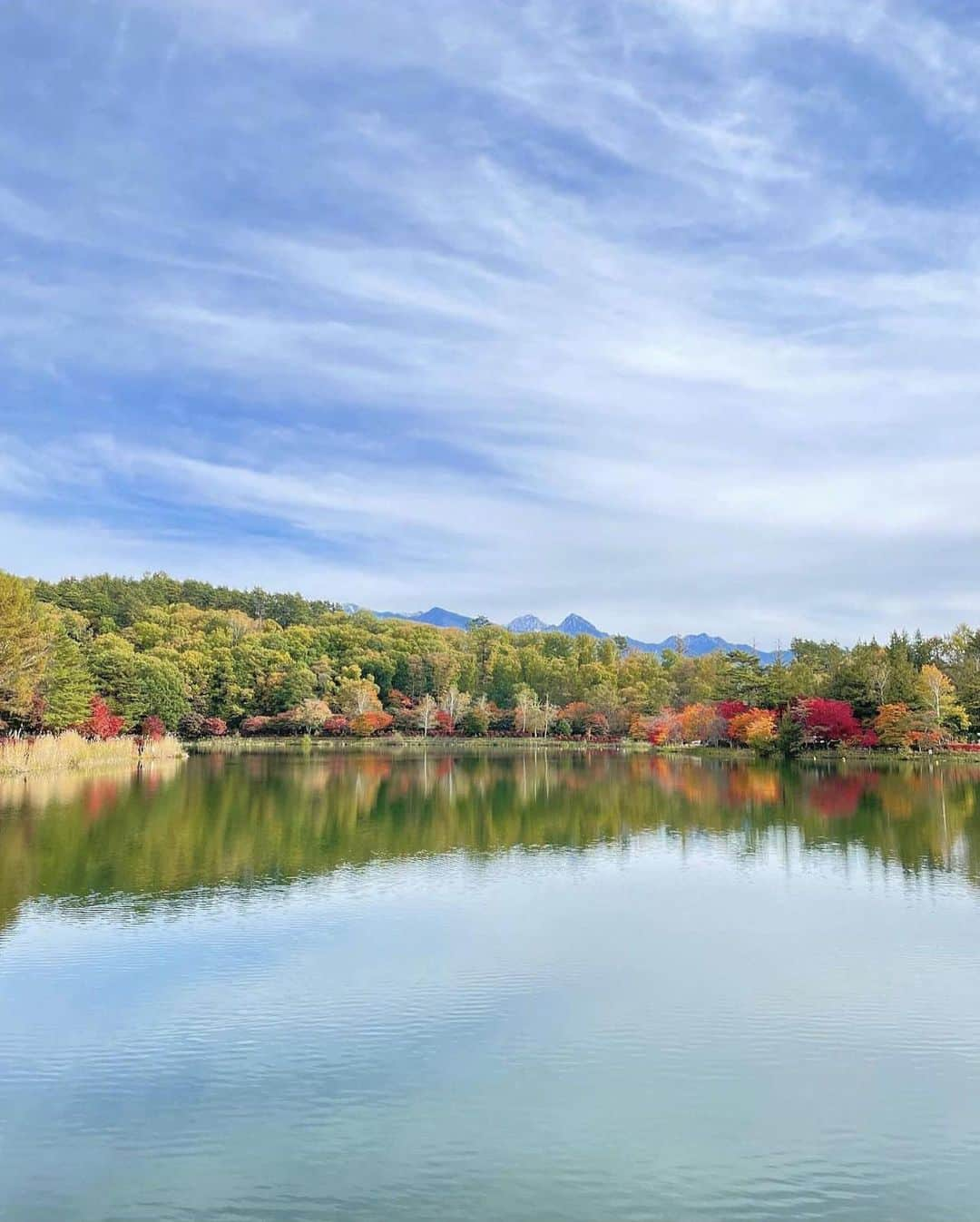 ?長野県 観光 公式インスタグラム のインスタグラム