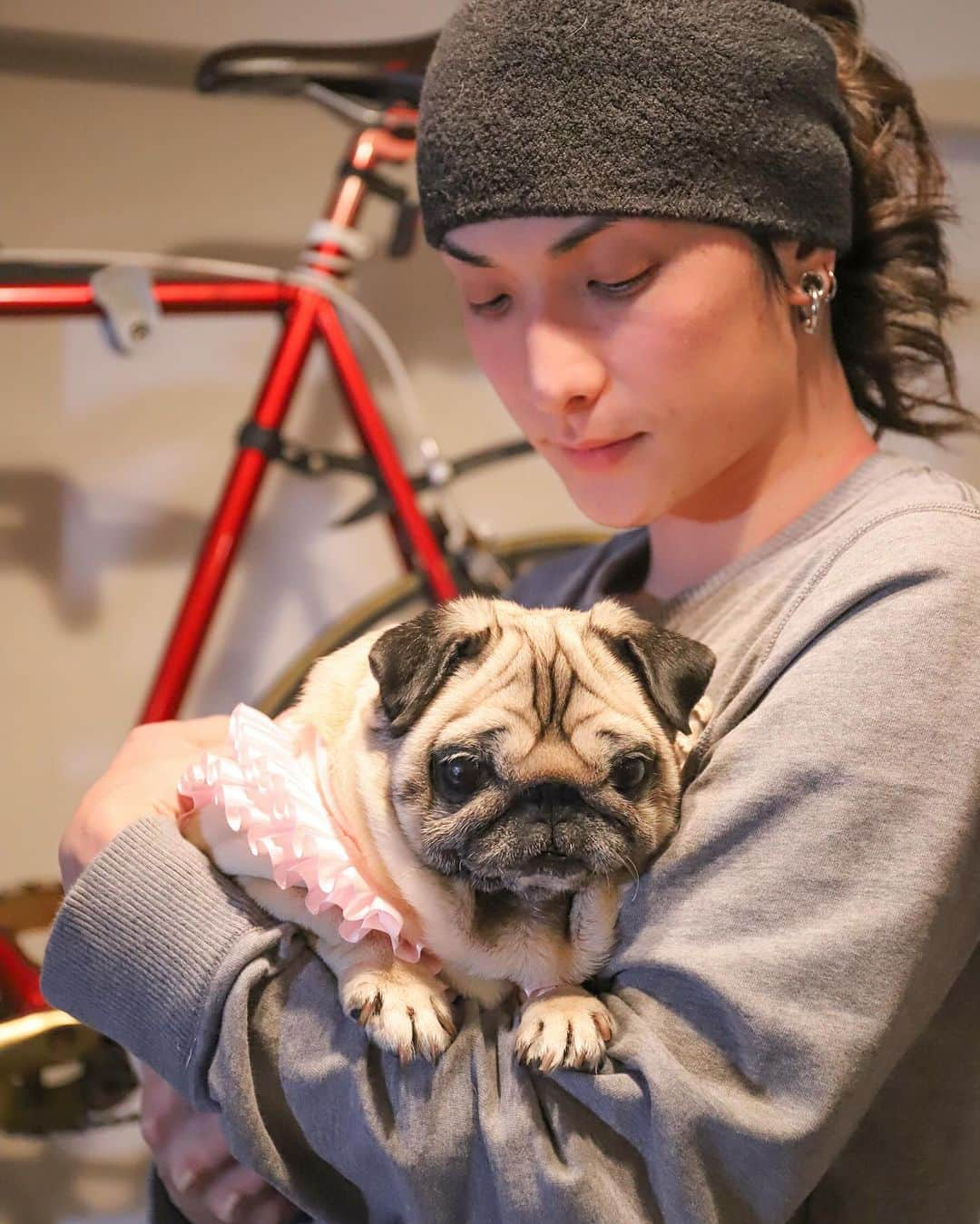 小野裕人さんのインスタグラム写真 - (小野裕人Instagram)「保護犬だった愛犬・ふがえが天へ旅立ったことをご報告いたします。 元繁殖犬で全盲のふがえは 自己免疫介在性溶血性貧血などいくつもの病気をかかえており、ここ数年は体調も不安定でした。  ご心配くださる方々もいらっしゃる中、自分自身の気持ちの整理がついて然るべき時が来たらお伝えしようと決めていました。 そして今回、ふがえがそのきっかけを与えてくれたように感じます。  今、こうして私がアーティストとして活動できているのも、ふがえのおかげで覚悟を決められたからです。少し長くなりますが、その話をさせてください。  6年ほど前。まだ画家として模索中ながらも、ワンちゃんの絵のご依頼をいただくようになった私は、ネットで保護犬を検索していました。 ある保護団体さんのサイトで目に止まったのが、推定6〜7歳、メスのパグでした。  とってもかわいいのに半年以上「里親募集中」のまま。思いきって連絡してみると、その子は両眼が失明していて軟口蓋過長症、気管狭窄、皮膚炎などたくさんの病気を患っていることがわかりました。  それを知ると問い合わせてきた人も皆、連絡が途絶えてしまったそうです。でも私はその子との出会いに運命的なものを感じたのです。  自由業なので仕事は自宅。ずっと一緒にいられるし、いつでも病院に行ける。自分以外にこの子の家族になれる人はいないんじゃないか、と本気で思いました。　  そして、2018年1月、ふがえを迎え入れることになったのです。  それまでは自分一人、日々なんとか過ごせればいい、と生きてきた私。でも、毎月数万円の病院代に薬代……現実に直面し、ふがえを守らなくては、と覚悟が決まりました。  その日から今に至ります。一人では作れなかった楽しい思い出、気づけなかった景色、ふがえのおかげで知れたこと…たくさんあります。 見えなくても、ふがえは私のすべてをわかってくれていました。どんなことがあっても、その温もりに救われました。  ふがえへの責任感が原動力になって頑張ってこられたのは確かです。 そして、自分には絵の中にふがえとの時間を残しておく術があってよかったと心から思いました。  ふがえが家族になってくれて幸せでした。ありがとう。これからは空から見守っていてね。  #ふがえちゃん #パグ」10月2日 16時59分 - yuuto0514