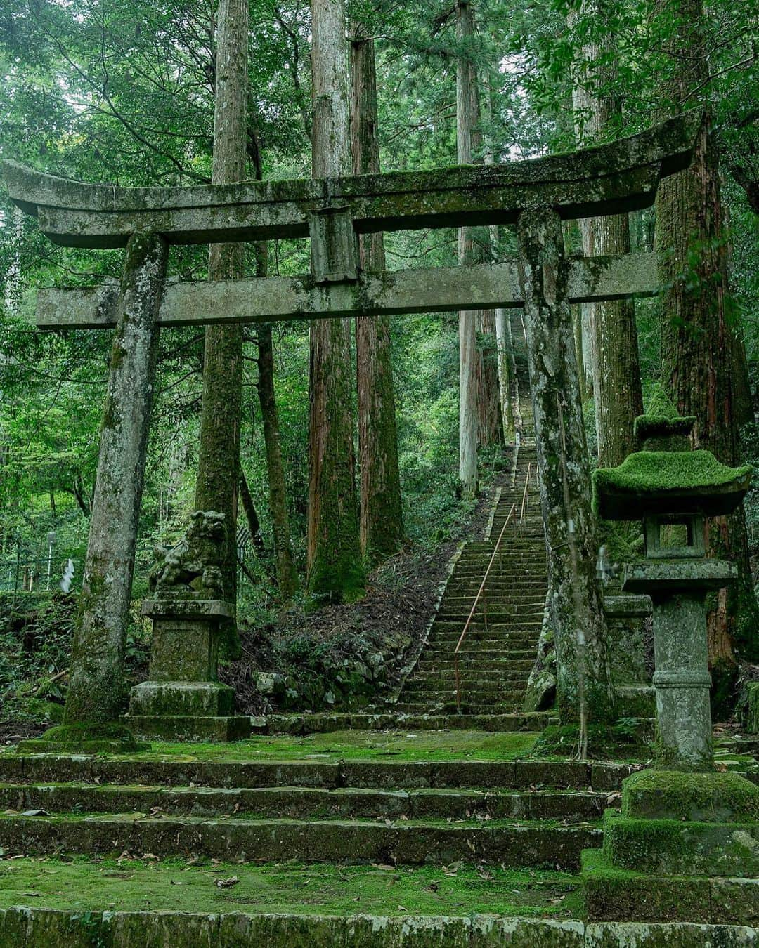 旅行メディア・じゃらん〈公式〉のインスタグラム：「#瀧神社 妖怪退治伝説にまつわる高賀山を囲む高賀六社の1社で、標高420mに位置しています。鳥居から本殿に続く長い階段と、空へ高く伸びる木々は、まさに神秘的な光景です。 . . ━━━━━━━━━━━━━━━ 📍 岐阜県「瀧神社」 📷 @sanga3 📅 2021.10.6 ━━━━━━━━━━━━━━━ . . #jalan_travel　をつけていただいた中からpick upしました 素敵なお写真をありがとうございました┈✈︎  .  . ☑ あらかじめ最新情報をご確認の上、お出かけください。 ☑ #jalan_travel をつけて、ぜひ今までの旅行先の思い出写真を投稿してください。このアカウントでご紹介させていただきます。(じゃらんニュースでも紹介される可能性があります） . . . . . . #いつか行きたい #じゃらん #観光 #観光地 #観光スポット #旅行 #旅行好きな人と繋がりたい #旅行好き  #japantravelphoto #japantrip #japantravel #国内旅行 #絶景 #絶景スポット #誰かに見せたい景色 #誰かに見せたい風景 #岐阜 #岐阜観光 #岐阜旅行 #gifu」