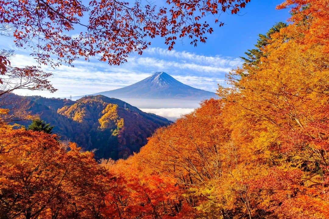 JALのインスタグラム：「. 日本の秋🍁 #富士山 を彩る木々の紅葉🗻 #UncommonOctober . . Photo by @seigou3776 Post your memories with #FlyJAL  #JapanAirlines #JAL #travel #紅葉 #紅葉スポット #もみじ #秋 #秋の風景 #山 #青空 #秋空 #旅 #秋旅 #絶景 #絶景スポット #日本 #日本の絶景 #日本の風景 #国内旅行 #旅行 #日本航空」