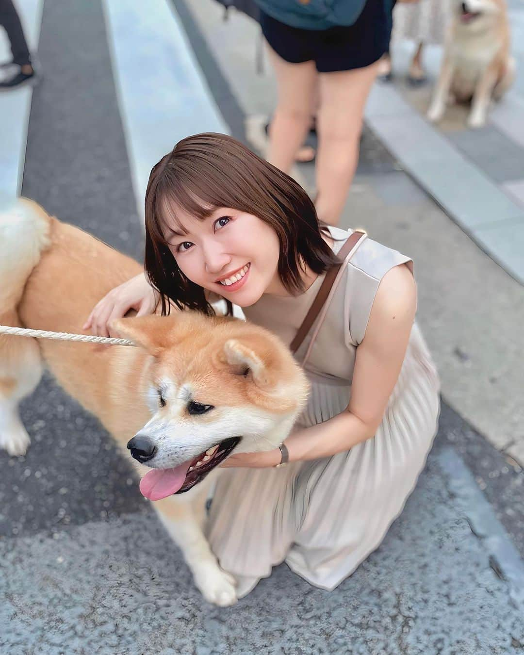 浦野一美さんのインスタグラム写真 - (浦野一美Instagram)「#秋田犬  まさか！ 東京で秋田犬に会えるなんて𓈒𓂂𓏸♡  銀座の歩行者天国を歩いていたら、 秋田犬がお散歩していました˚✩*  しかも、何頭もいてビックリ.ᐟ‪‪‪.ᐟ‪‪‪ みんな優しい子ばかり🥹🤍  私がもふもふさせてもらったのは、 女の子で、なんと妊娠中🤰‼️ しかも偶然にも、 予定日が近くてびっくり❢❢  私のお腹をクンクンしてくれて、 何か同じ匂いを感じてたかな？笑  東京で秋田犬に会えるなんて 思ってもいなかったから、 嬉しくて幸せでした♥  飼い主さんに聞いたら、 今度ハチ公100周年で イベントに参加すると仰っていて さぞかし楽しそうって思いました˚✩*  いいなー行きたいなー🐕🐾  #maternity #妊娠 #妊婦ファッション #妊婦コーデ #妊娠中 #妊娠後期 #プレママ #初マタ #初マタニティ #高齢出産 #高齢出産で初産 #高齢妊婦 #マタニティライフ #女の子ママ#maternityCinDy #銀座 #秋田犬 #akita #akitainu #akitadog #臨月」10月2日 17時43分 - cindy.cinderella