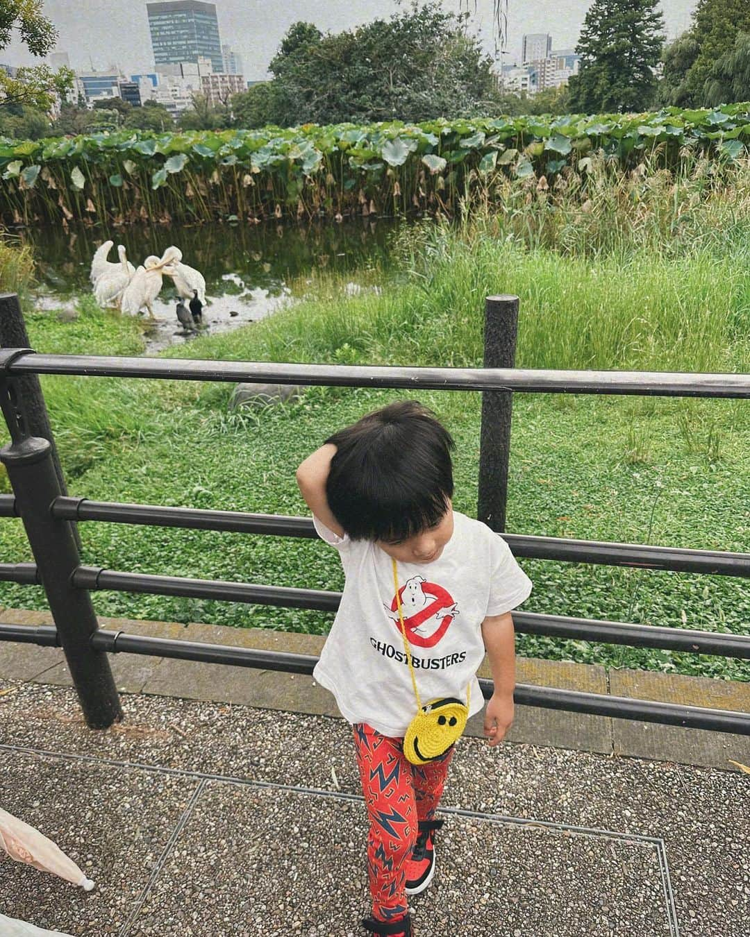 樽見麻緒さんのインスタグラム写真 - (樽見麻緒Instagram)「初めての上野動物園へ🐼🖤🤍 偶然にも都民の日で入場無料だったから 人かなり多くてパンダは諦めて見れなかったけど😂 久々にTHE日曜日って感じの過ごし方した✌🏼  #dayoff#momofboys#mom#zoo#momlife#uenozoo#休日#親子#親子コーデ#3歳#動物園#休日の過ごし方#上野動物園」10月2日 17時42分 - t_mao27