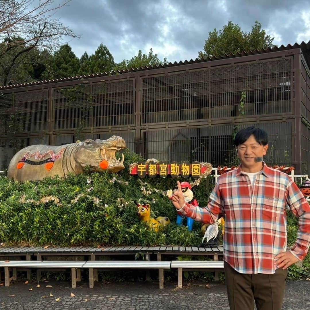 依田司さんのインスタグラム写真 - (依田司Instagram)「10月2日（月） 栃木県の宇都宮動物園から。8月25日に生まれたばかりのアミメキリンの赤ちゃんに会いに行ってきました。とはいえ、もう身長は180センチをゆうに超えています。半年間は母乳で育つんだそう。こちらでは、餌やり体験もでき、アミメキリンが人気No. 1だそう。はるか頭上からキリンが頭を下げてきて迫力満点、とても楽しいですよ。 また、人気No.２のホワイトタイガーはじめ、90種類の動物たちが暮らしています。イベント盛りだくさんで秋の行楽におすすめです。  #宇都宮動物園 #crocodile #クロコダイル #依田さん #依田司 #お天気検定 #テレビ朝日 #グッドモーニング #気象予報士 #お天気キャスター #森林インストラクター #グリーンセイバーアドバンス #プロジェクトワイルド #IPCC伝導者 #japan #japantrip #japantravel #unknownjapan #japanAdventure #japanlife #lifeinjapan #instagramjapan #instajapan #療癒 #ilovejapan #weather #weathercaster #weatherforecast」10月2日 8時50分 - tsukasa_yoda