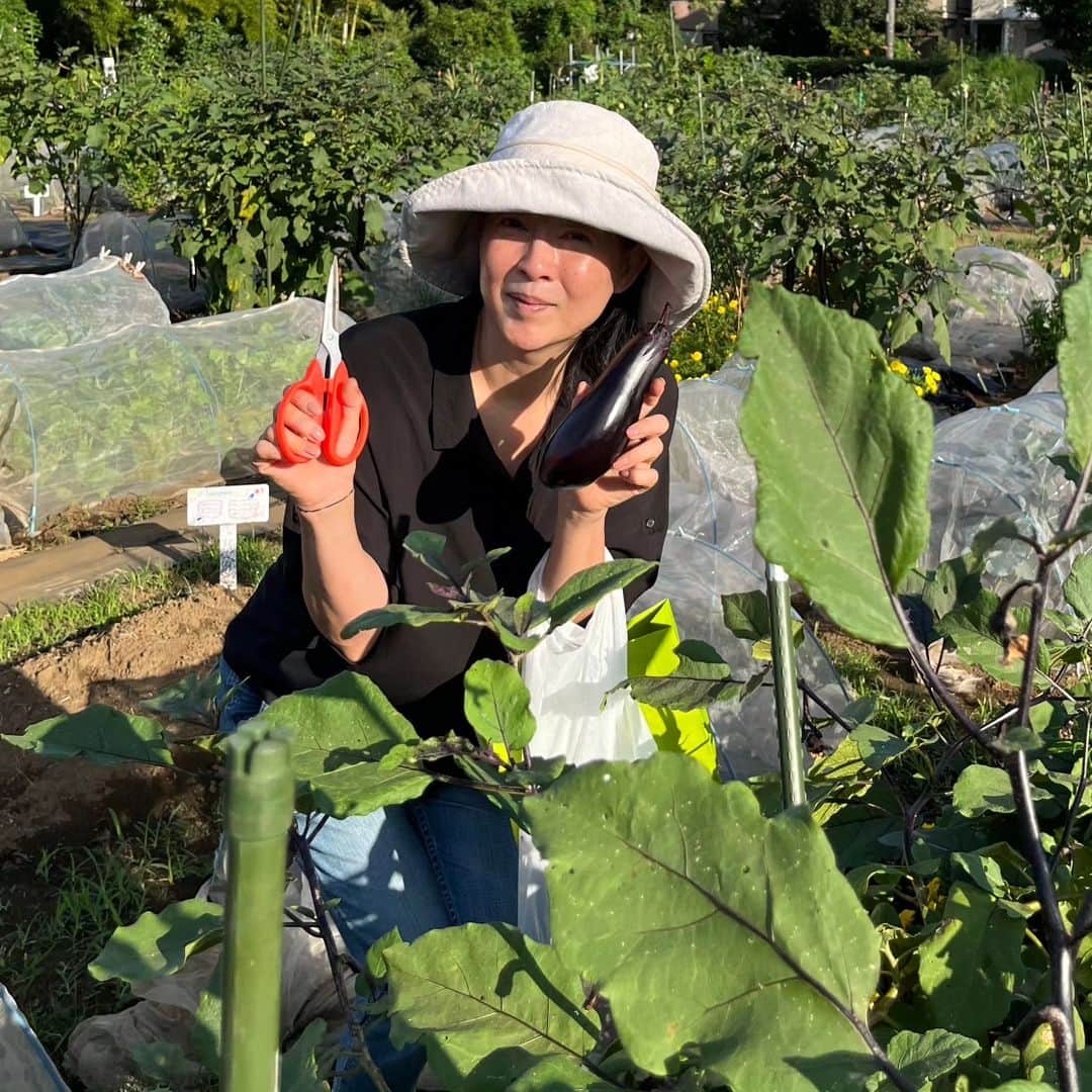 のインスタグラム：「おはようございます！  早朝の畑で茄子を収穫してきましたぁ！ 早速、朝食でいただきました‼️ やはり取れたては美味しいですね‼️😋🎶」