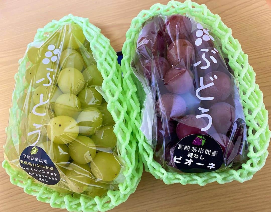 川島恵さんのインスタグラム写真 - (川島恵Instagram)「秋の味覚🍇ぶどう🍇 一粒食べ始めたら止まらなくなるので、 大切にいただきます🍇 ・ #ぶどう #秋の味覚 #シャインマスカット #ピオーネ #食欲の秋 #宮崎産 #宮崎産ぶどう」10月2日 9時05分 - mrt.kawashima