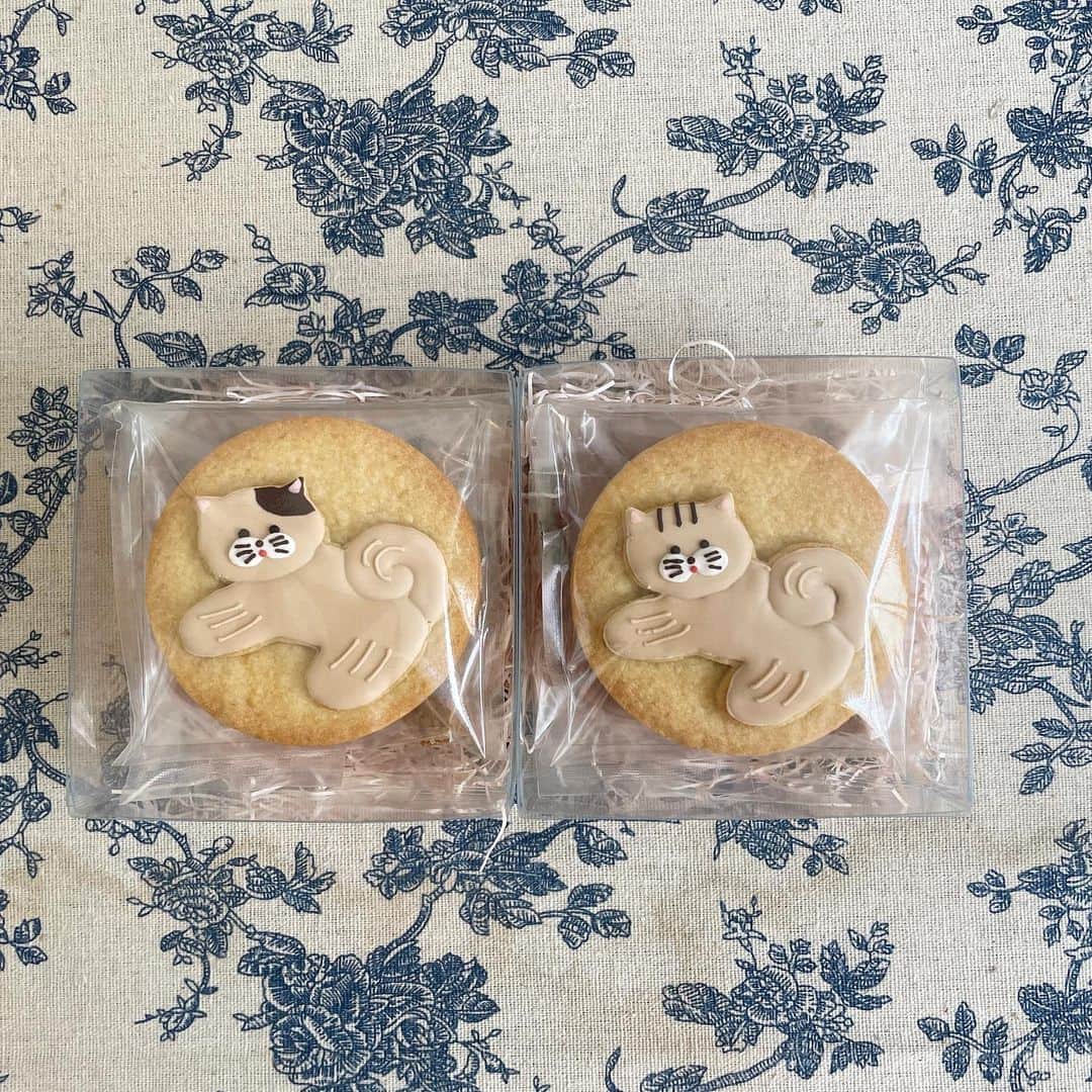 おやつ屋ハイジのインスタグラム：「にゃーん  #猫菓子 #ねこ #焼き菓子 #お菓子の詰め合わせ #オーダーお菓子 #お菓子ボックス #記念日のお菓子 #出産内祝い #内祝い #内祝いハイジ #おやつ屋ハイジ #焼き菓子ギフト #お取り寄せスイーツ #出産お祝い #出産ギフト #お誕生日クッキー #cookies #decoratedcookies」
