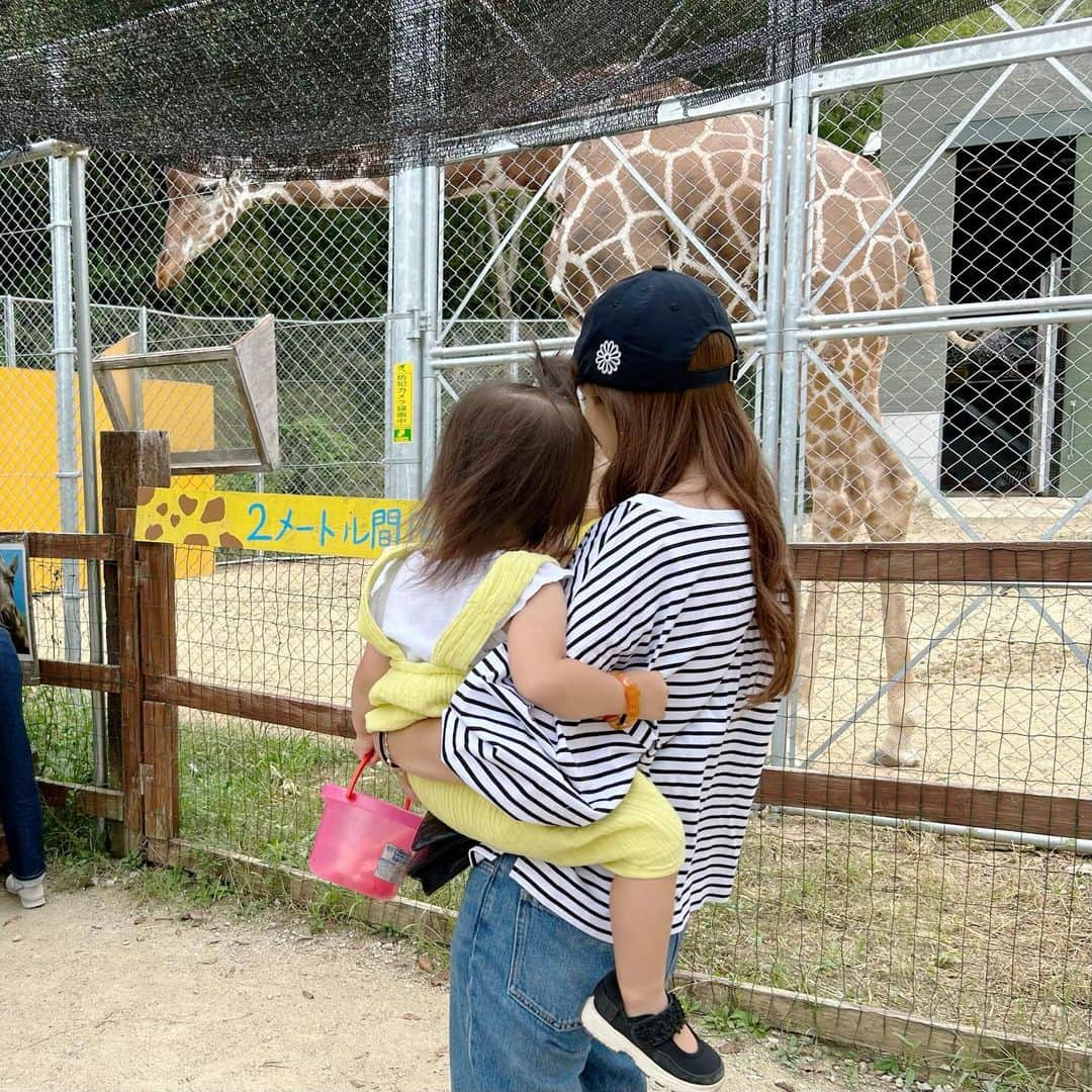 丸高愛実のインスタグラム：「この間、友達親子と香川県にある「しろとり動物園」へ行って来たよー🦁🐘🦒🐰🐷🐥🐒  動物達との距離がとっても近くて餌もあげる事ができて子供達大興奮🤣🤍  また行こうねー💓  #しろとり動物園 #香川県」