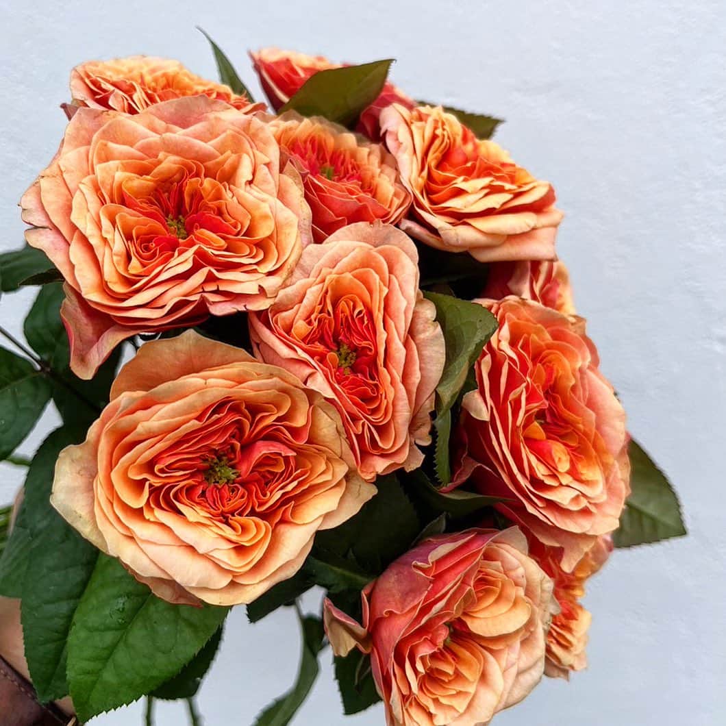 MILLE ECLAT.のインスタグラム