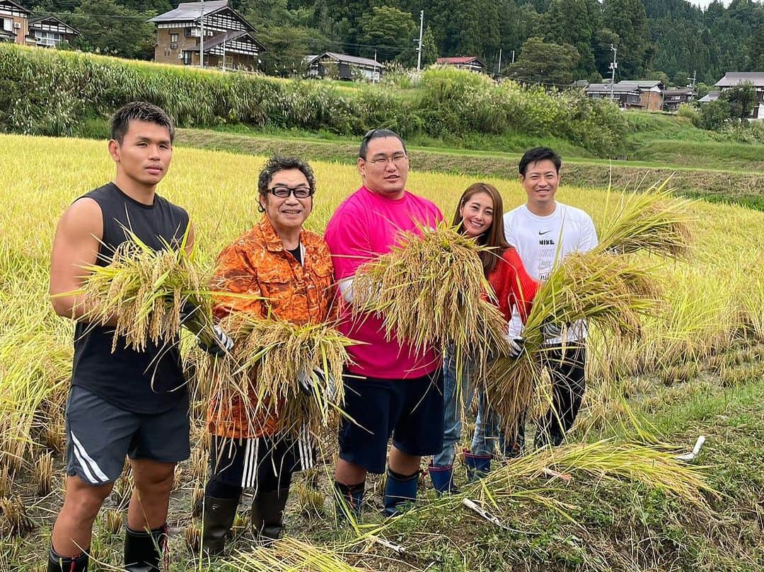 熊切あさ美さんのインスタグラム写真 - (熊切あさ美Instagram)「昨日は新潟での稲刈り🌾 お天気にも恵まれ🌞 地元の子供達と 小林幸子さんの 農業支援事業「幸せプロジェクト」 わたしも参加出来て良かったです☺️ 新潟十日町の方、マスコミの方 本当にありがとうございました☺️🌾 今日はよじごじdays15時40分から生放送📺観てね #幸せプロジェクト　#新潟　#十日町 #稲刈り　#コロッケさん　#豊昇龍　#阿部大治 #牧田和久　#熊切あさ美　#立浪部屋  #立浪ファーム」10月2日 11時16分 - asami_kumakiri