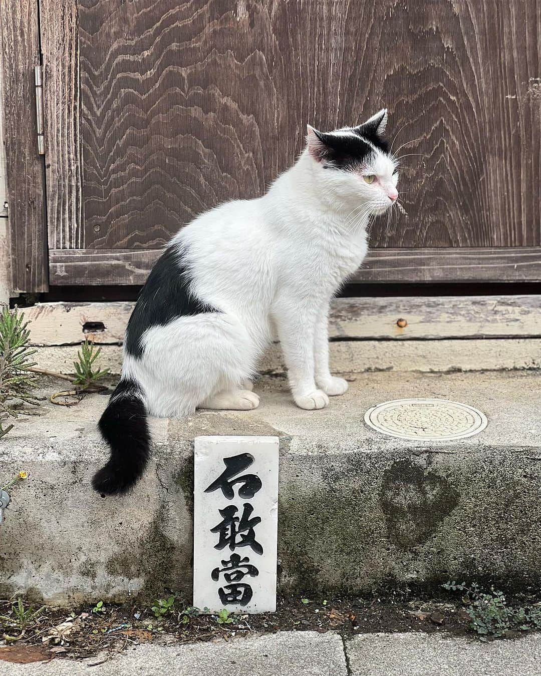 坂口涼太郎さんのインスタグラム写真 - (坂口涼太郎Instagram)「🦁🌕🦁 沖縄の思い出。 栄町市場ではのえみさんのお友達 #宮里綾羽 さんがお書きになったエッセイ「本日の栄町市場と、旅する小書店」に登場する金城さんにお話を伺って、島ぞうりをいただいた。すてきな出会いだった。ありがとう。  やちむん通りでは私好みのやちむんがたくさんあり、連れて帰ってきてしまった。 やちむん通りこわい。でも好き。  ソーキそばもステーキもたくさん食べたし、大満足。  そして、飲み屋で出会った青年こころ君との出会いは私達にとって特別やった。 よかったら観に来てと伝えたら最前中央で前のめりになって観てくれて、その後興奮して感動を伝えてくれた。 彼にとって観劇は人生を左右する事件。 かつて私がそうだったように。 劇場には魔法があるね。 また必ず訪れます。 沖縄ほんまにありがとう🌕🌠 #木ノ下歌舞伎 #勧進帳 💐 @nahart2021   #沖縄 #那覇 #栄町市場 #やちむん #やちむん通り #eibun #steakhouse88」10月2日 11時27分 - ryotarosakaguchi