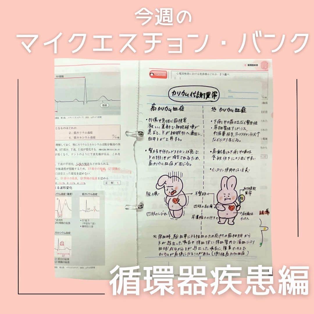 ネコナースのインスタグラム：「『今週のマイクエスチョン・バンク～循環器疾患編～』  みなさんこんにちは🌸  本日もチェックしていただきありがとうございます🌷  今回は前回投稿した小児編に続き,今週は循環器疾患編です！🫀 循環器は解剖や循環の仕組みなどを理解していないと解けない問題が多く、苦手と感じている学生さんも多いのではないでしょうか😣💦  看護学生さんたちがどう覚えているのか、実際の勉強を覗き見！👀♪  ▷マイクエスチョン・バンクとは？？ クエスチョン・バンクのページを切り取り，ルーズリーフなどにイラストや自分なりの解説を書き加え，理解を深めていく勉強法です📚 自分の弱点を克服できる，世界に一つだけのオリジナルクエスチョン・バンクを完成させましょう✨  ▷Next… 次週は内分泌・代謝疾患編！どんなマイクエスチョン・バンクがみられるかな？ 金曜日になったらcheck！  #マイクエスチョンバンク　#クエスチョンバンク  #QB #レビューブック#RB  #第113回看護師国家試験　#看護　#看護学生　#看護師」