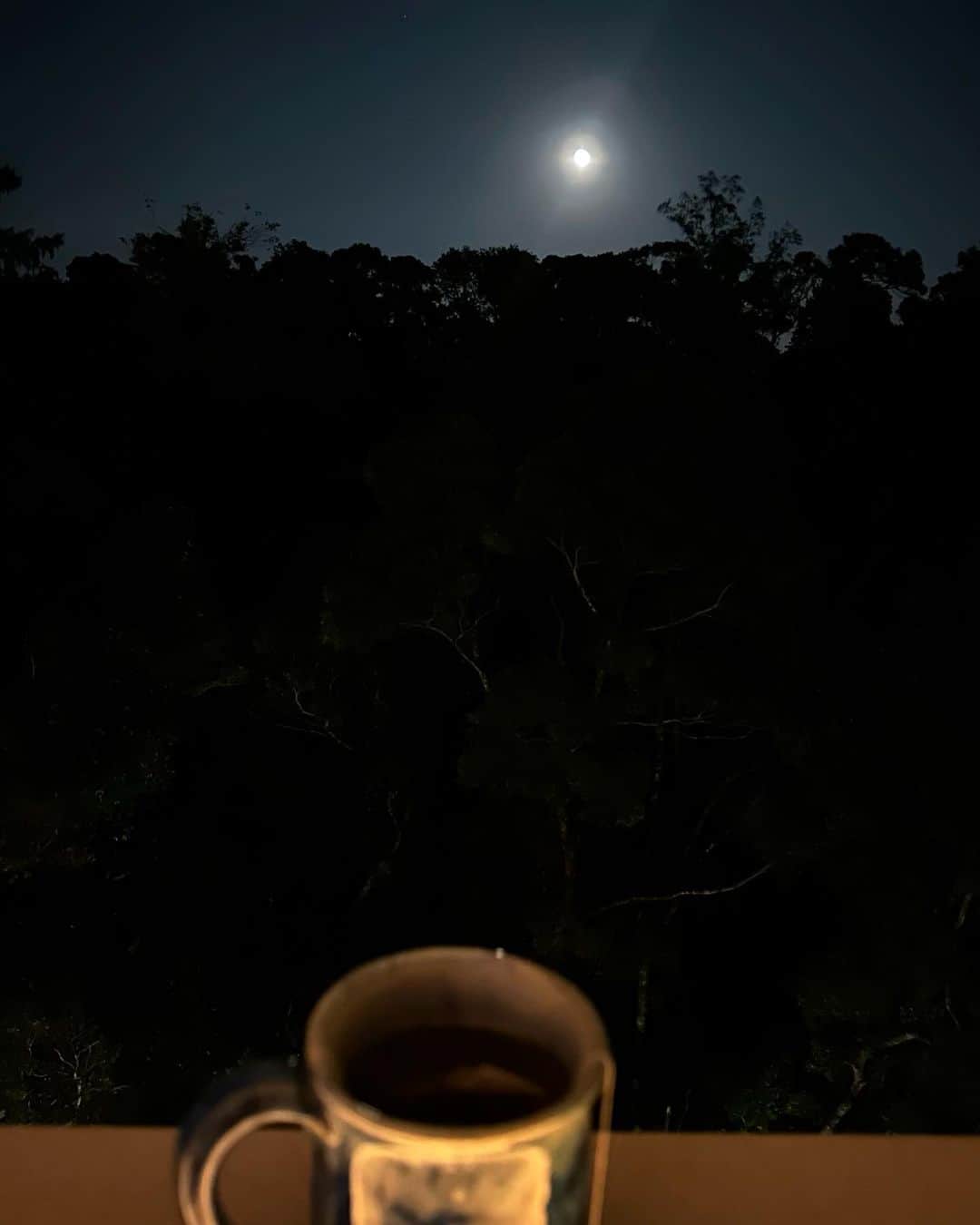テイラーRさんのインスタグラム写真 - (テイラーRInstagram)「A long weekend full of food, warmth, and moonlight 🌙」10月2日 11時42分 - taytay_xx