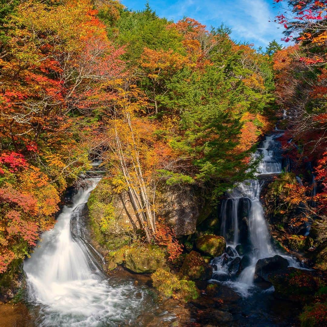 旅行比較サイト・トラベルコ 理想の旅を、いちばん安く。のインスタグラム：「#竜頭の滝 / 栃木  奥日光を代表する滝のひとつ、竜頭（りゅうず）の滝🐉  滝周辺の木々は日光市内で最も早く色づくといわれており、例年10月上～中旬が紅葉の見頃。  赤や黄色に紅葉する木々と、白い滝が織りなす風景はまるで錦絵のよう！　遊歩道や観瀑台から美しい眺めが楽しめます🍁  ━━━━━━━━━━━ 📍 #竜頭の滝 （栃木県日光市） ━━━━━━━━━━━  Photo: PIXTA  ********** あなたが旅先で出合った素敵な風景に #トラベルコ または #travelko をつけて投稿してみてください📷 こちらのアカウントで紹介させていただくかも！  投稿を見て「行きたい！」と思ったら保存でクリップ。 フォロー＆いいねもお願いします🌟  ********** 国内海外1500以上の旅行サイトをまとめて比較！ 旅行の最安値を探すなら「トラベルコ」  プロフィール欄のURLから早速検索🔍 @travelko_official  #竜頭ノ滝 #滝 #紅葉 #紅葉スポット #紅葉名所 #nikko #日光 #栃木旅行 #栃木観光 #国内旅行 #日本の絶景 #japantrip #japantravel #絶景 #フォトジェニック #ファインダー越しの私の世界 #誰かに見せたい景色 #旅行好きな人と繋がりたい #写真好きな人と繋がりたい #女子旅 #一人旅 #旅行好き #旅 #旅行 #観光 #trip #travelko #トラベルコ」
