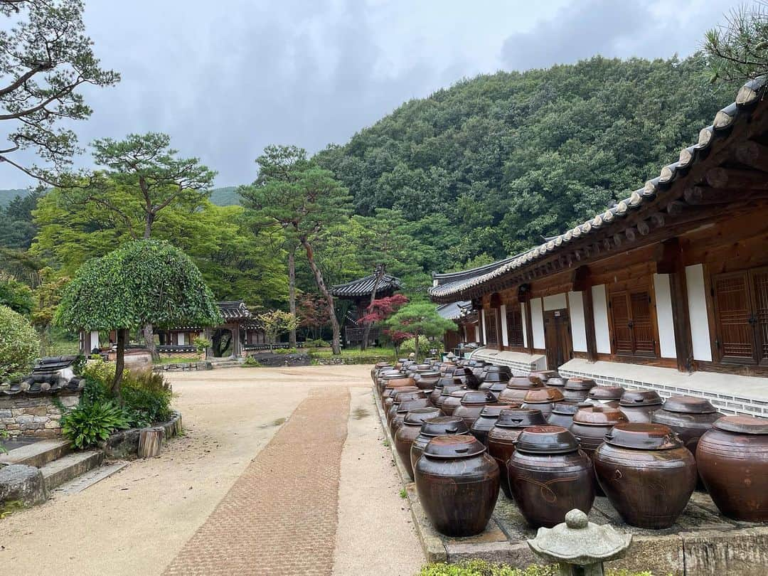 高橋慶彦さんのインスタグラム写真 - (高橋慶彦Instagram)「この前は久しぶりの韓国旅行でした」10月2日 12時04分 - yoshihiko_2