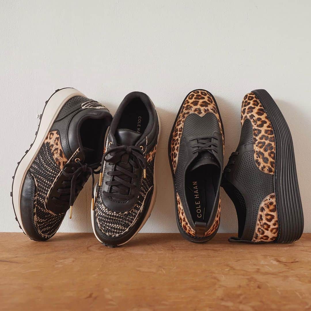 COLE HAAN JAPANのインスタグラム：「【秋の新作シューズ】 アイテムが気になったら「🍁」でぜひコメントしてください！  秋になると気になるサファリパターン。 パッと目に入ってくる柄だからこそ、スマートに使いたい。 そんな時こそ足元から取り入れるのがとてもおススメです。  ベストセラーのプラットフォームオックスフォードと、 ランニングシューズがベースとなっているグランドプロのスニーカー。 限りなく軽快な履き心地の人気モデルから登場した新作を 是非チェックしてみて！  👞 グランドプロ ウェルズリー ランナー ￥28,600-  👞 オリジナルグランド プラットフォーム ウィングチップ オックスフォード ￥39,600-  23Fall Collectionは公式サイトで公開中！ @colehaanjapan  #ColeHaan #コールハーン #秋ファッション #オックスフォード #スニーカー #ヒョウ柄 #レオパード #サファリ柄 #快適シューズ」