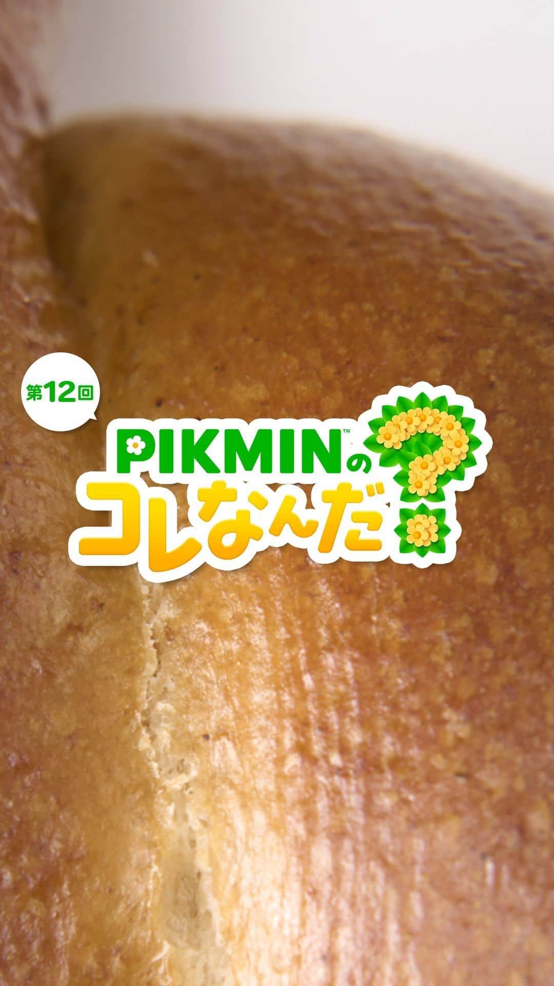 のインスタグラム：「「PIKMINのコレなんだ？」第12回  ピクミンたちが見つけたものはなんでしょう？  #ピクミン #pikmin #これなんだ #NintendoSwitch #Nintendo #任天堂」